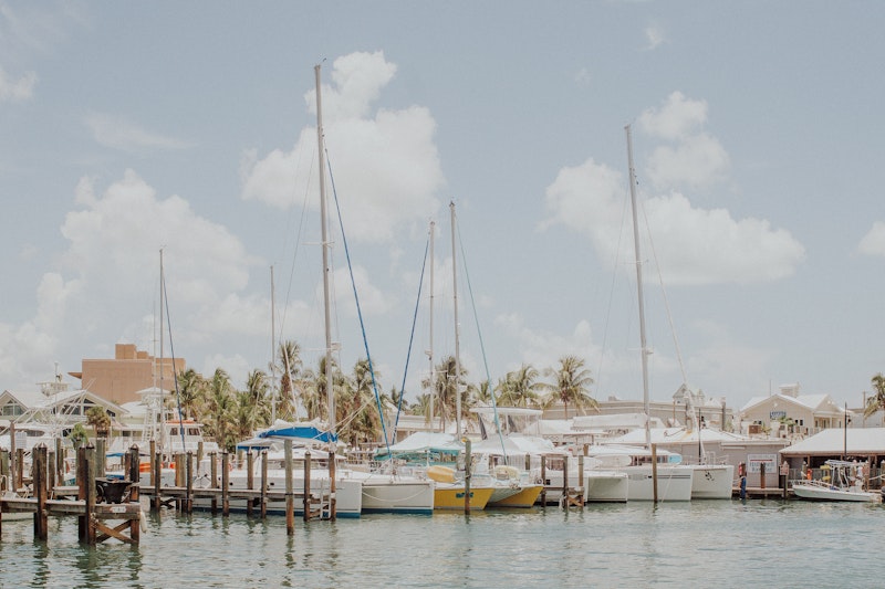 sailboats docked in harbor