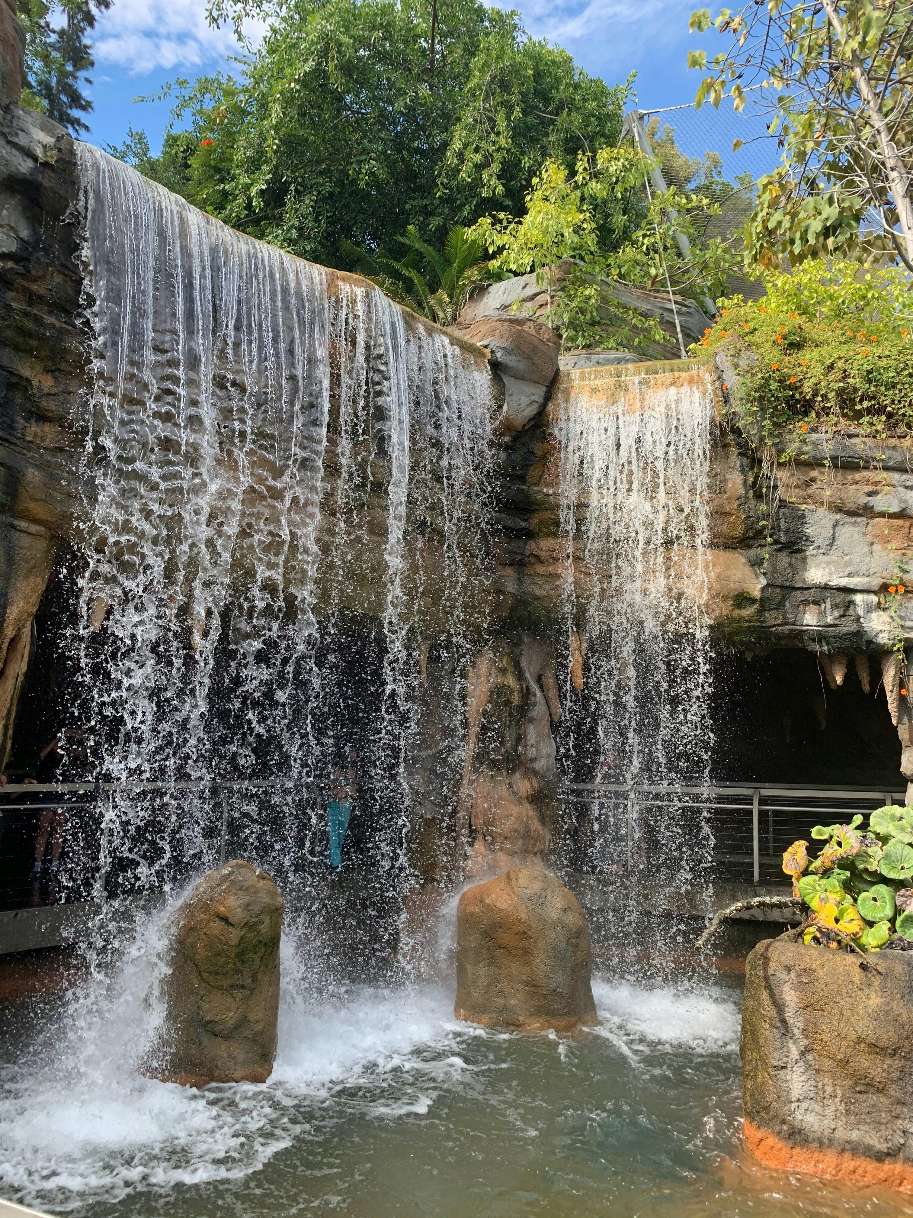 Waterfall at San Diego Zoo