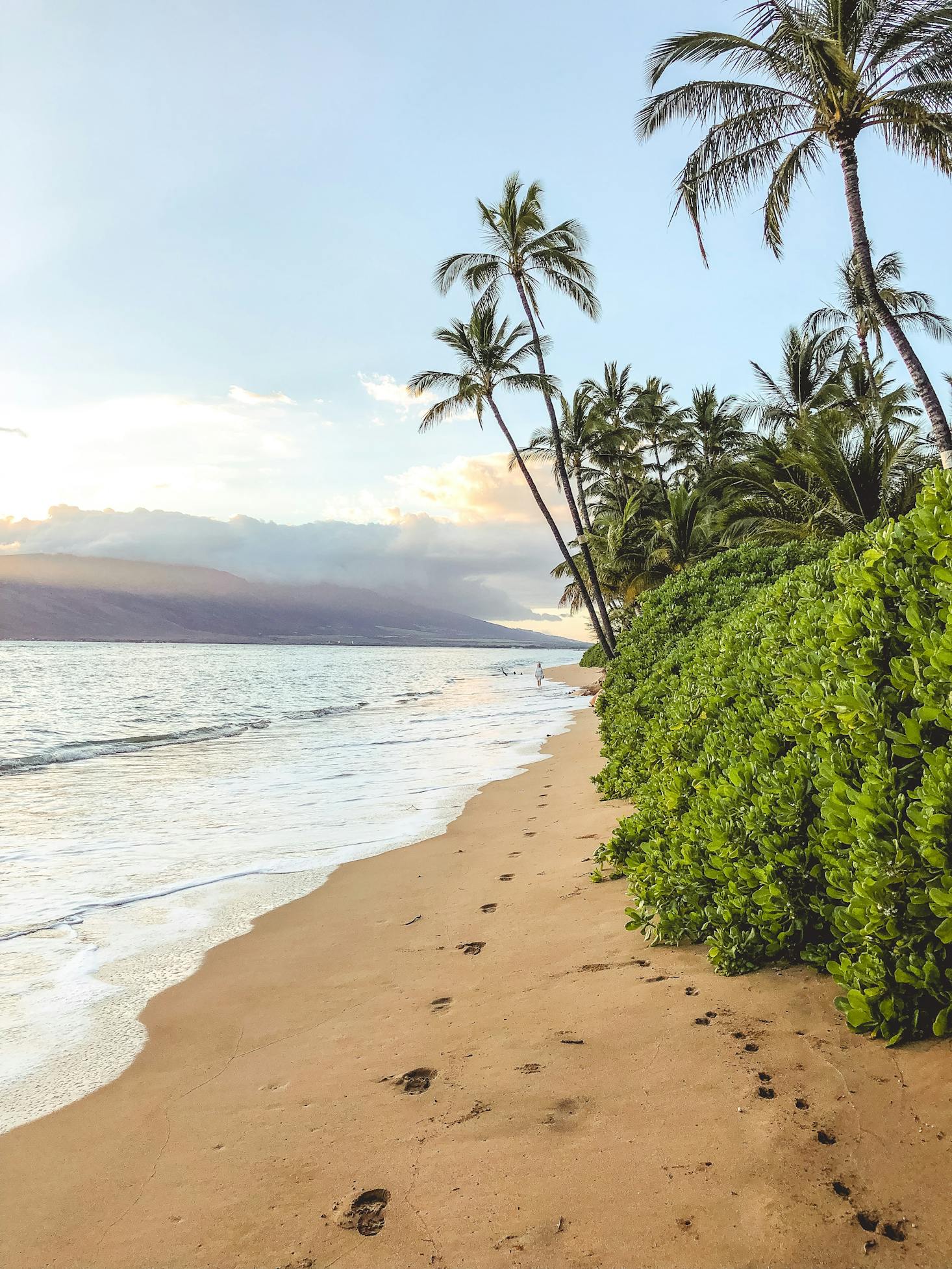 The white sands, ocean waves, and palm trees on a beach in Maui