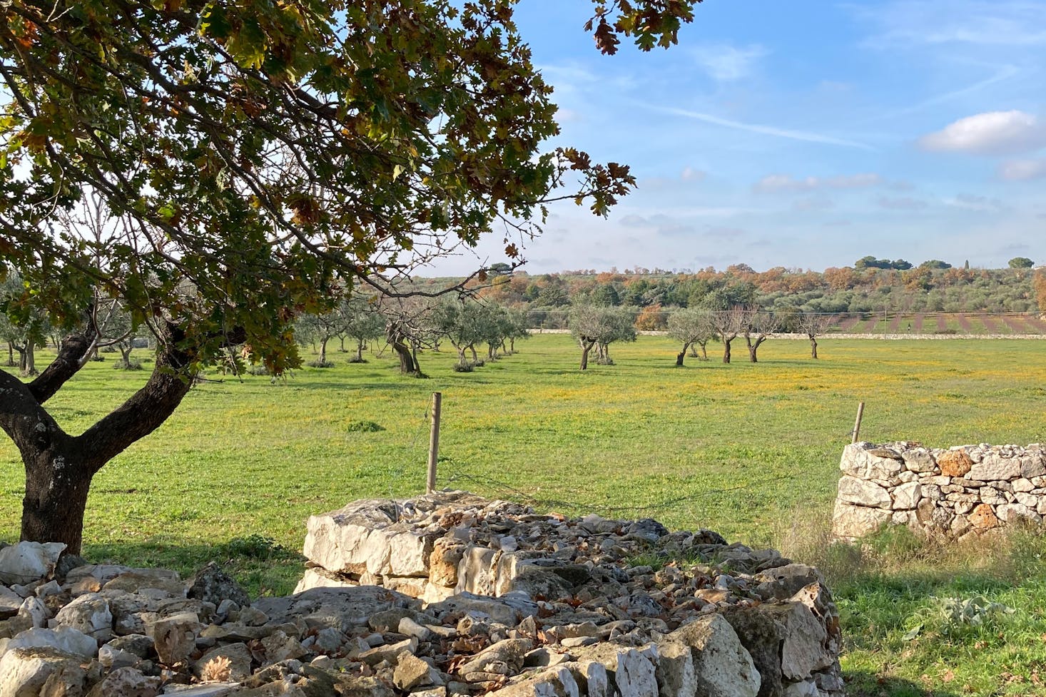 Hiking in Bari, Italy