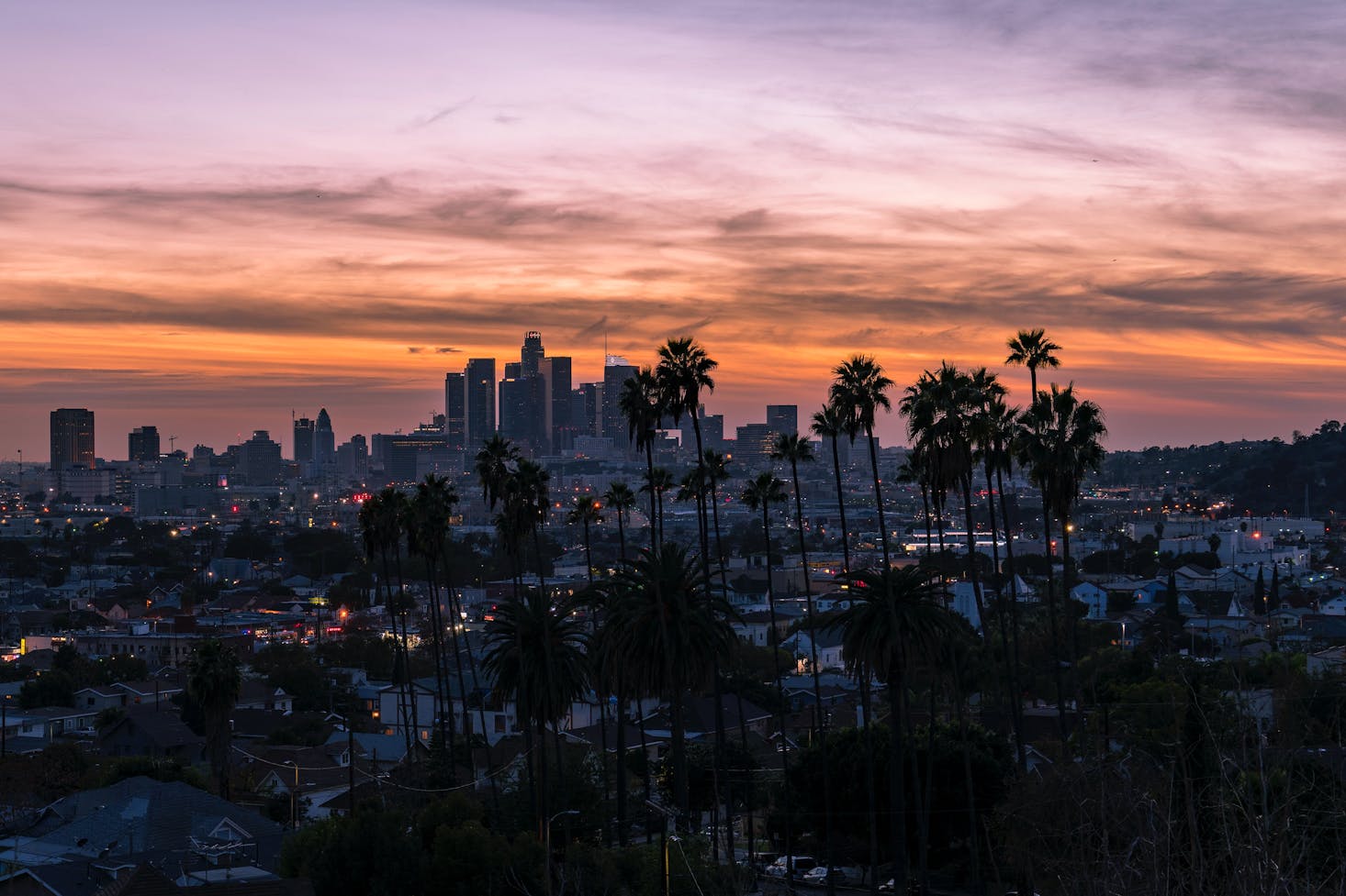 los angeles night tour