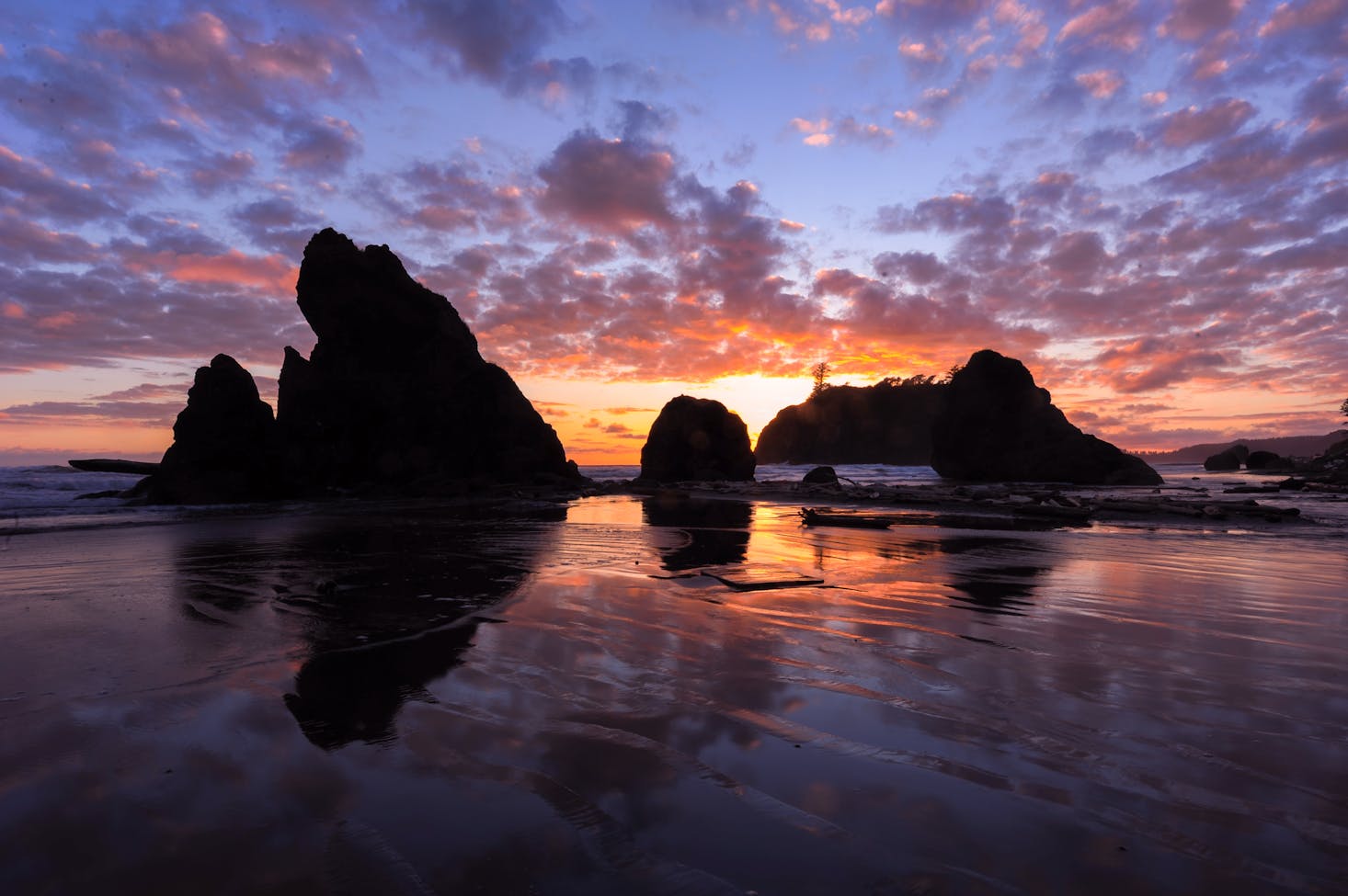 Olympic National Park in Washington