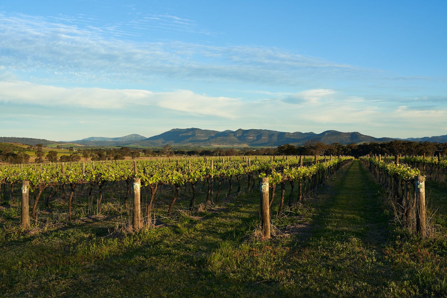 Hunter Valley weekend getaway from Sydney