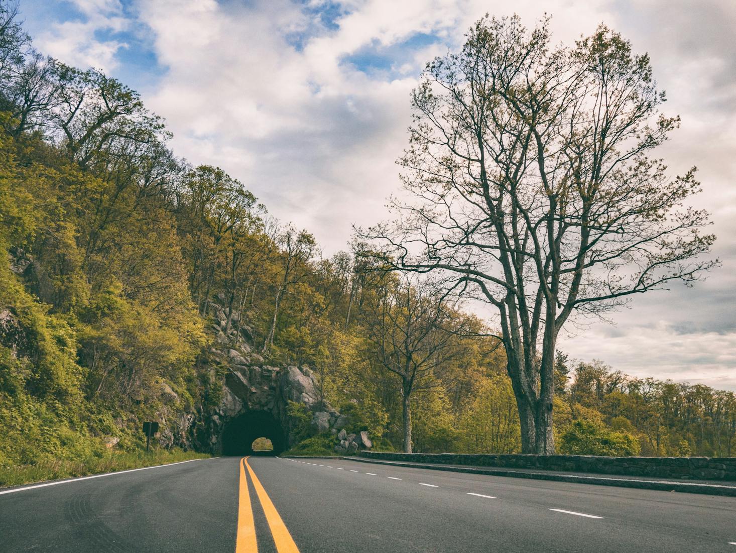 Shenandoah National Park