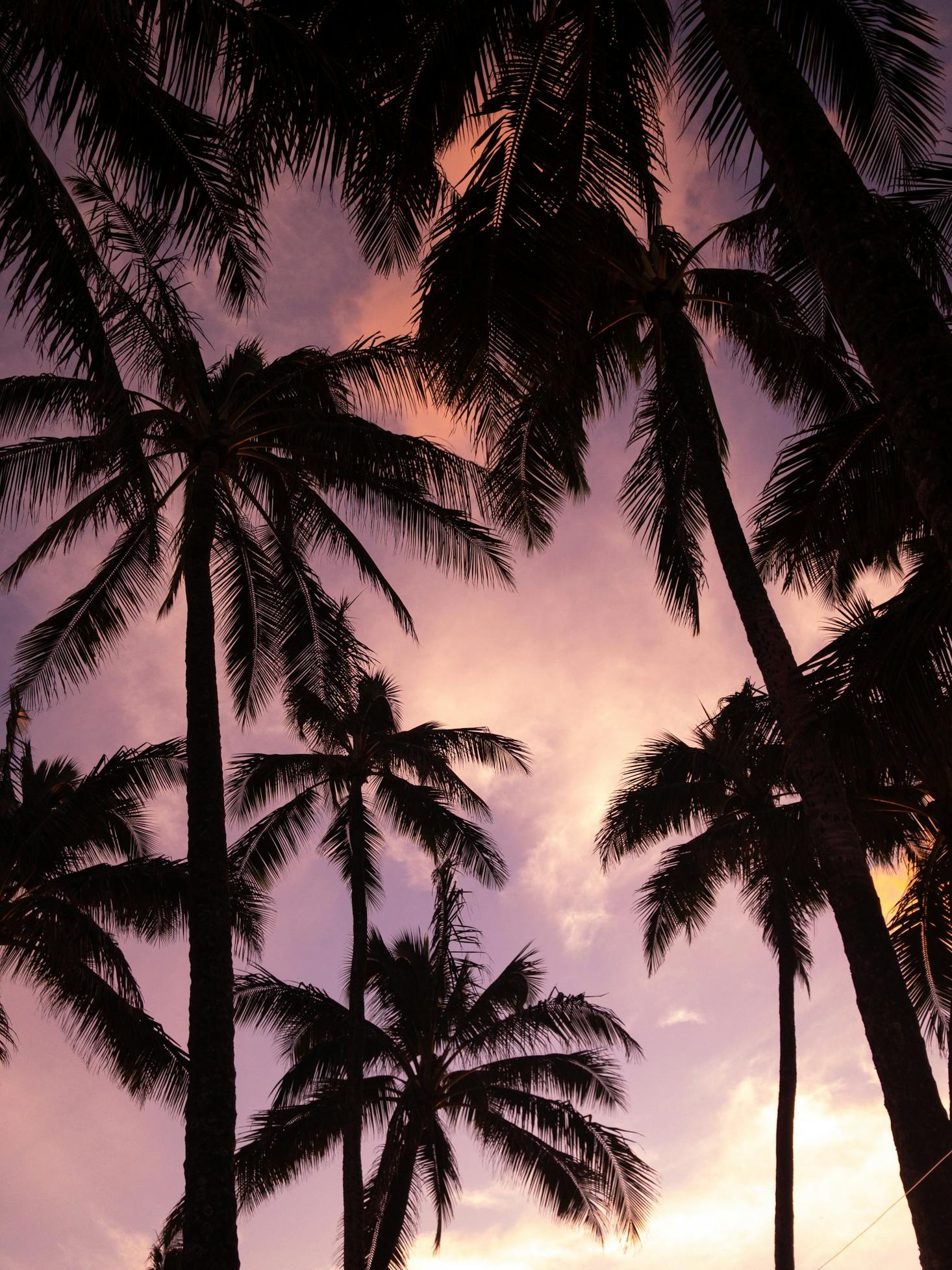 Sunset Beach in Honolulu