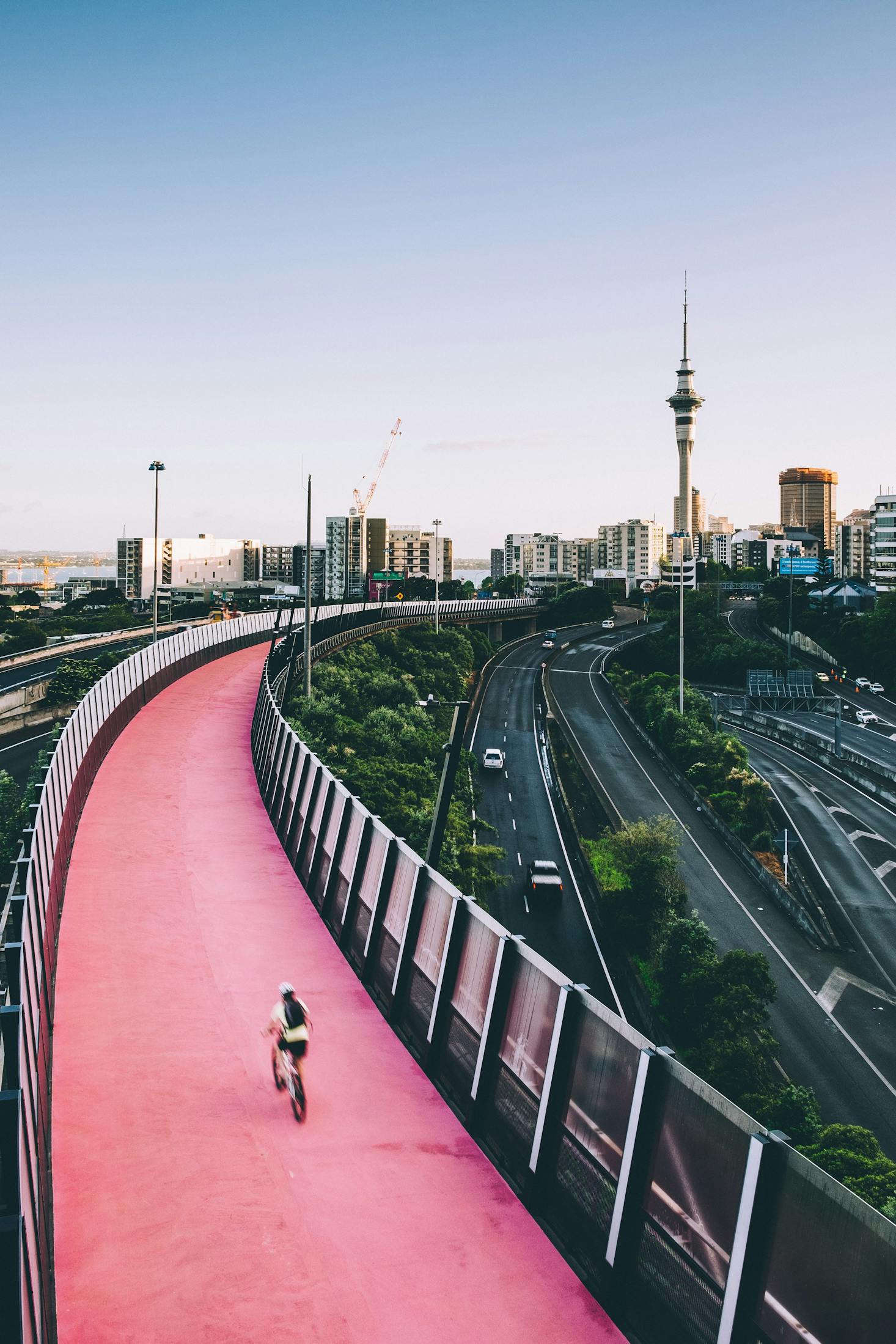 Pink Cycle Trail in Auckland