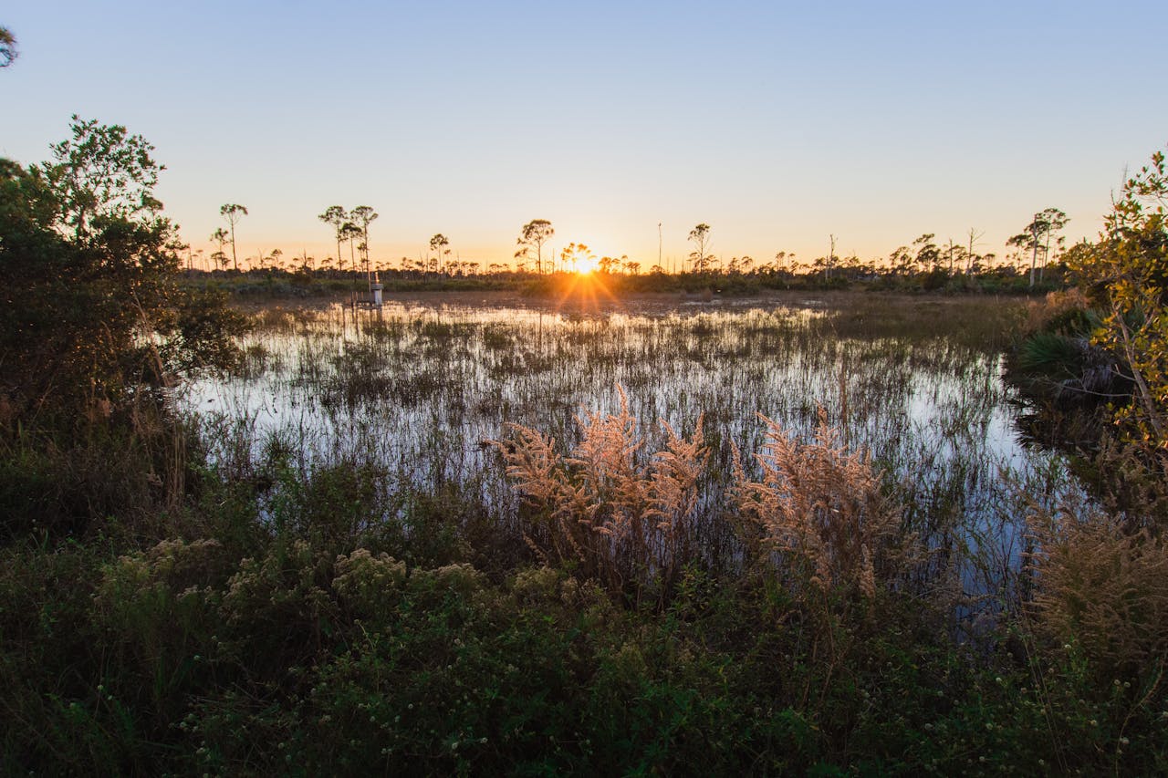 For Pierce, Florida