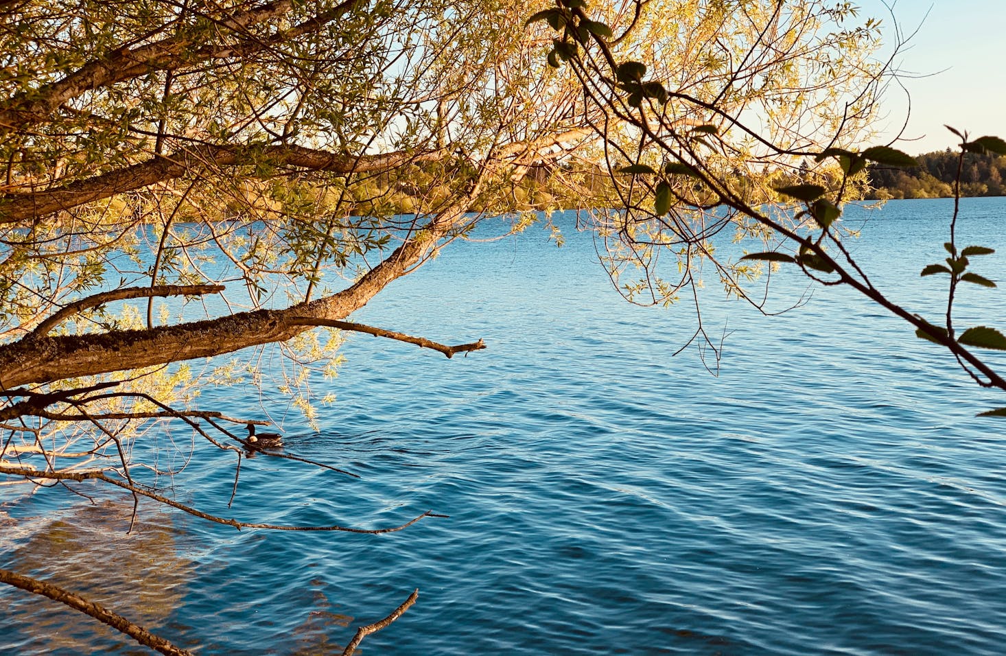 Green Lake Park in Seattle