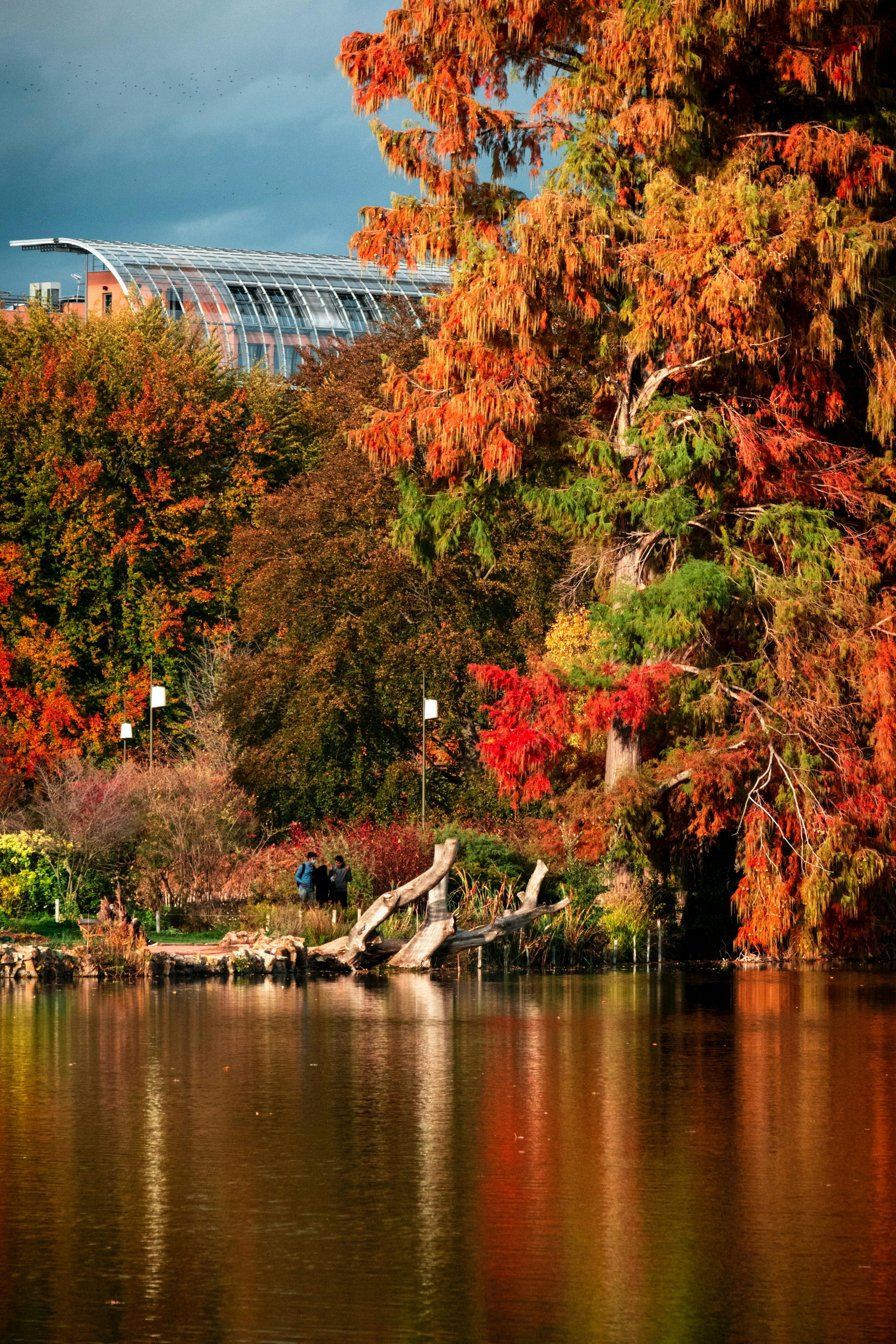 Waterfront park in Lyon