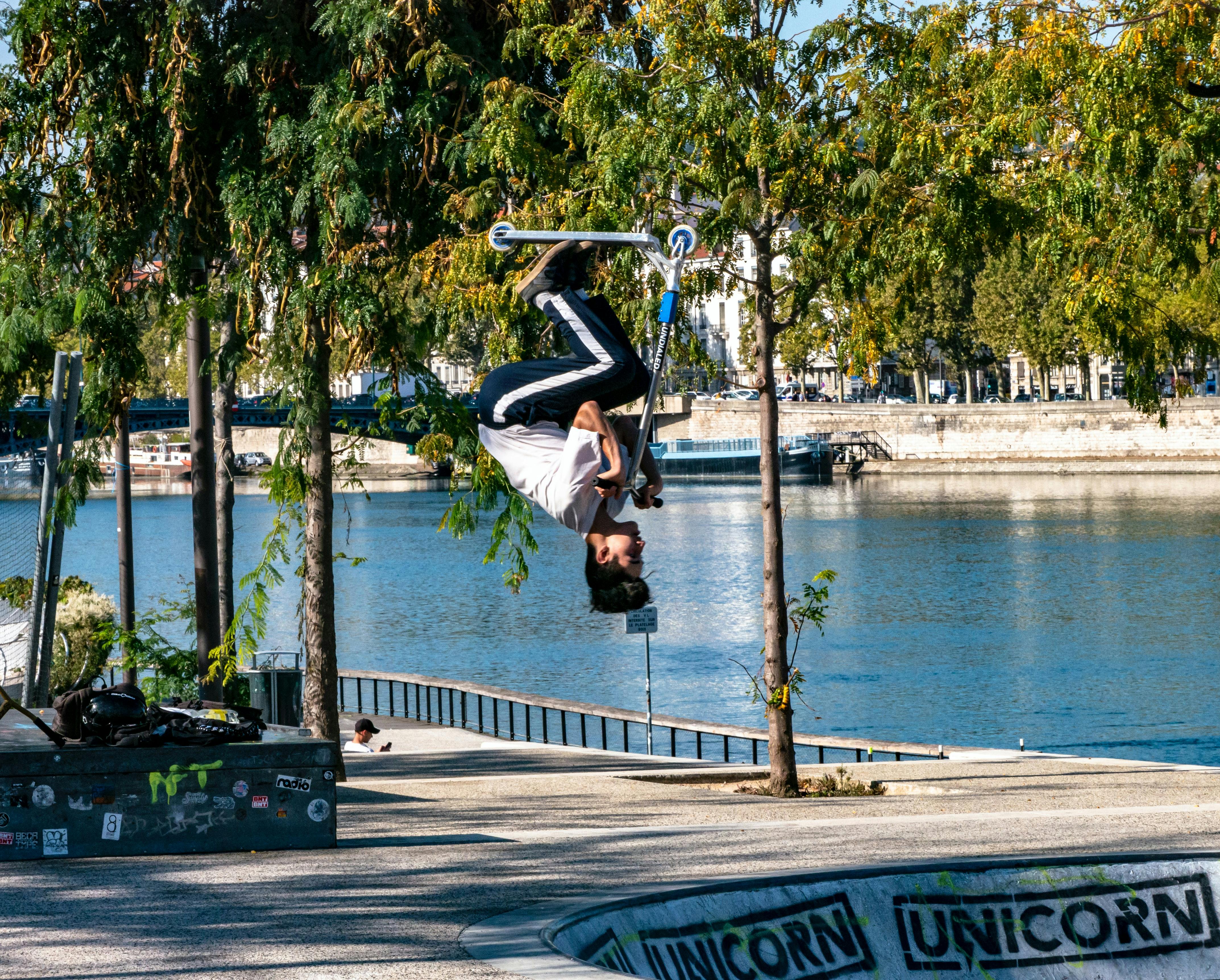 Skateboard park in Lyon