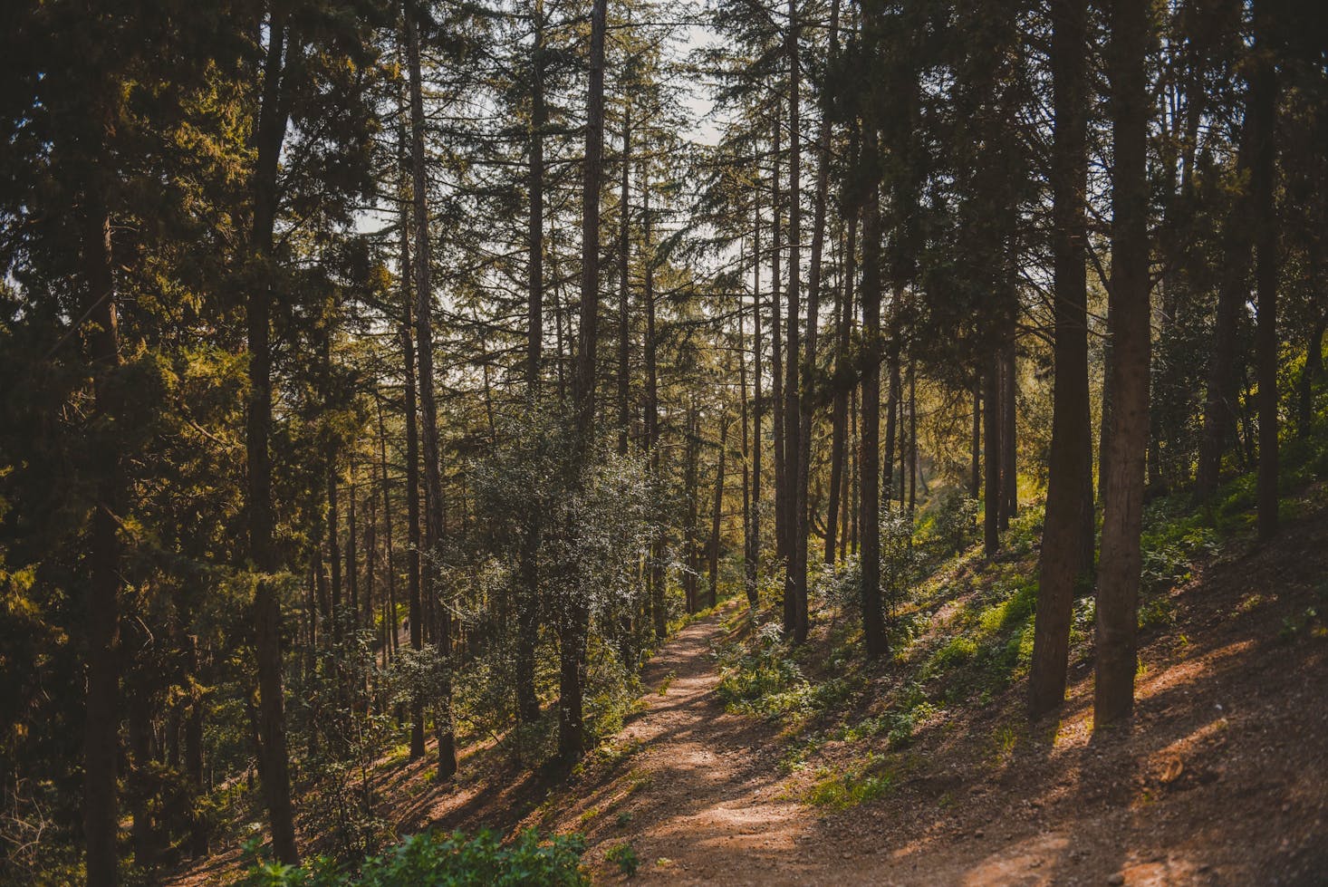 Hiking trail near Barcelona