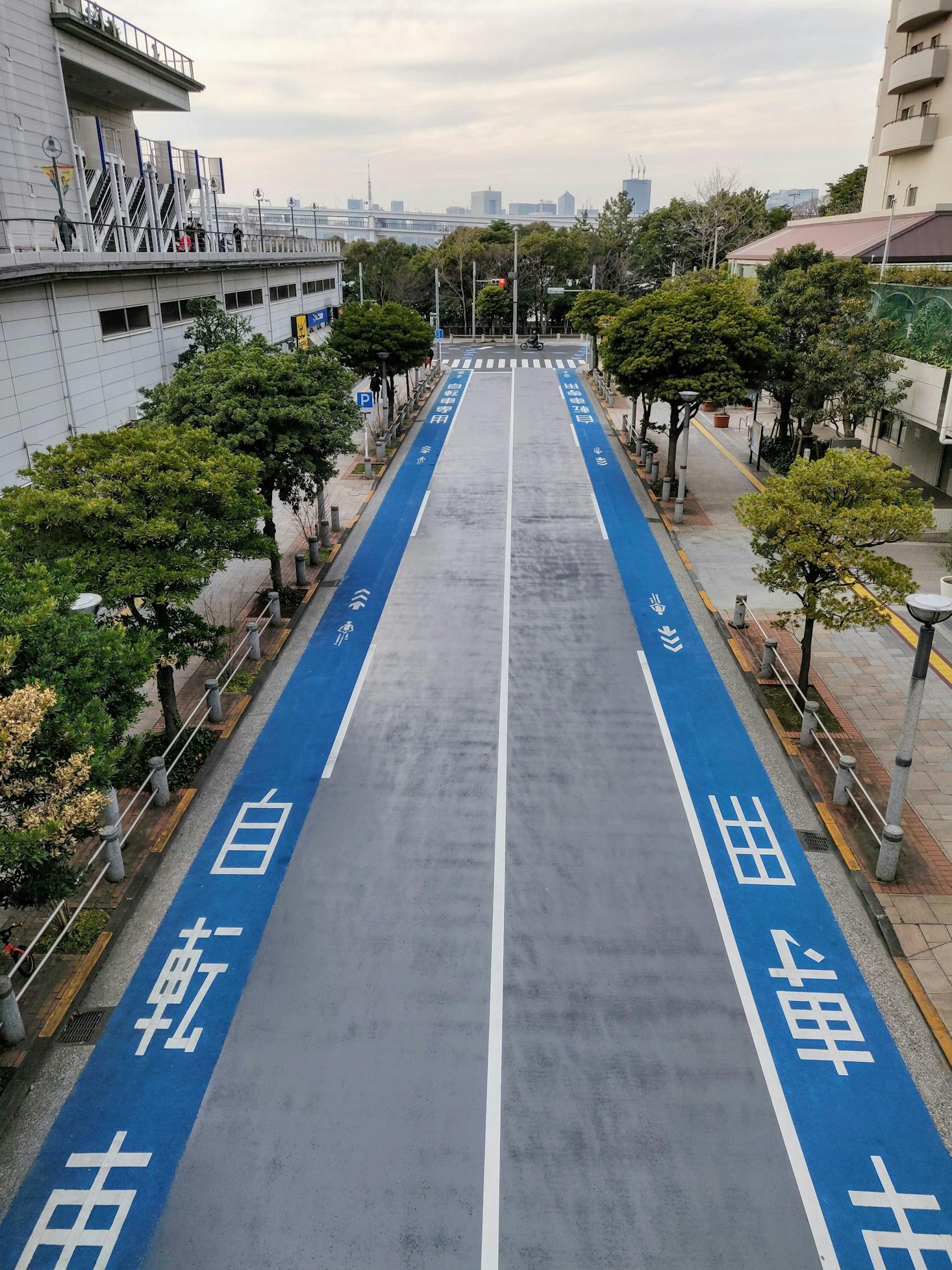 An empty road with blue bike lanes in Odaiba