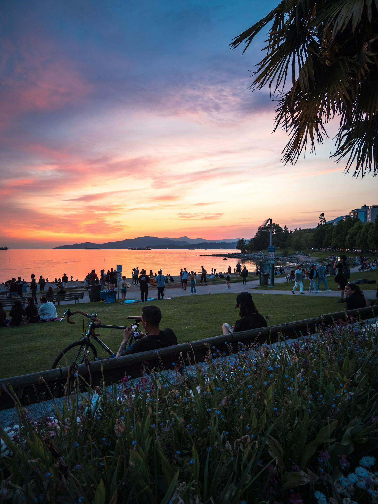 Park in Vancouver's West End at sunset