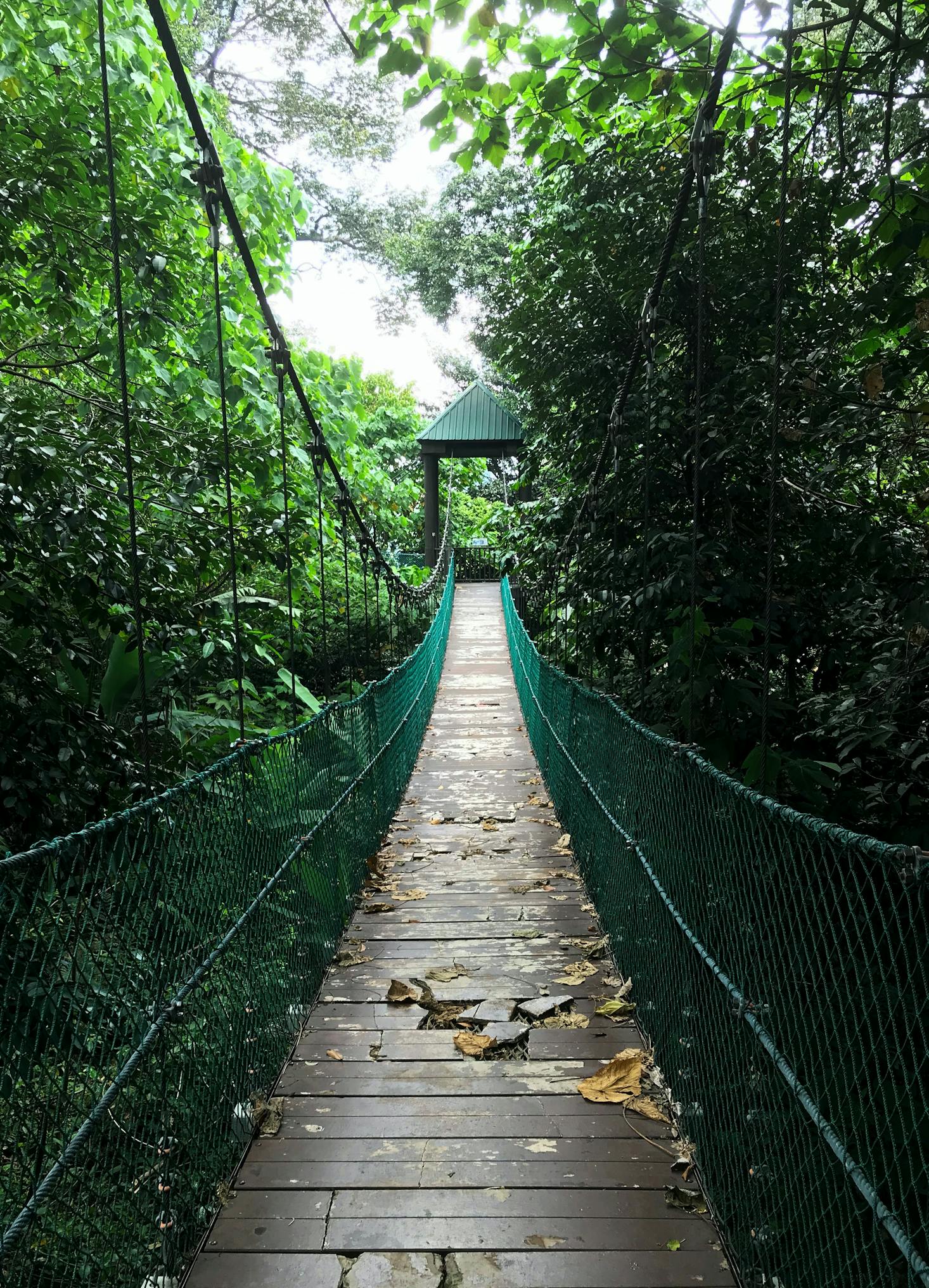 KL Forest Eco Park