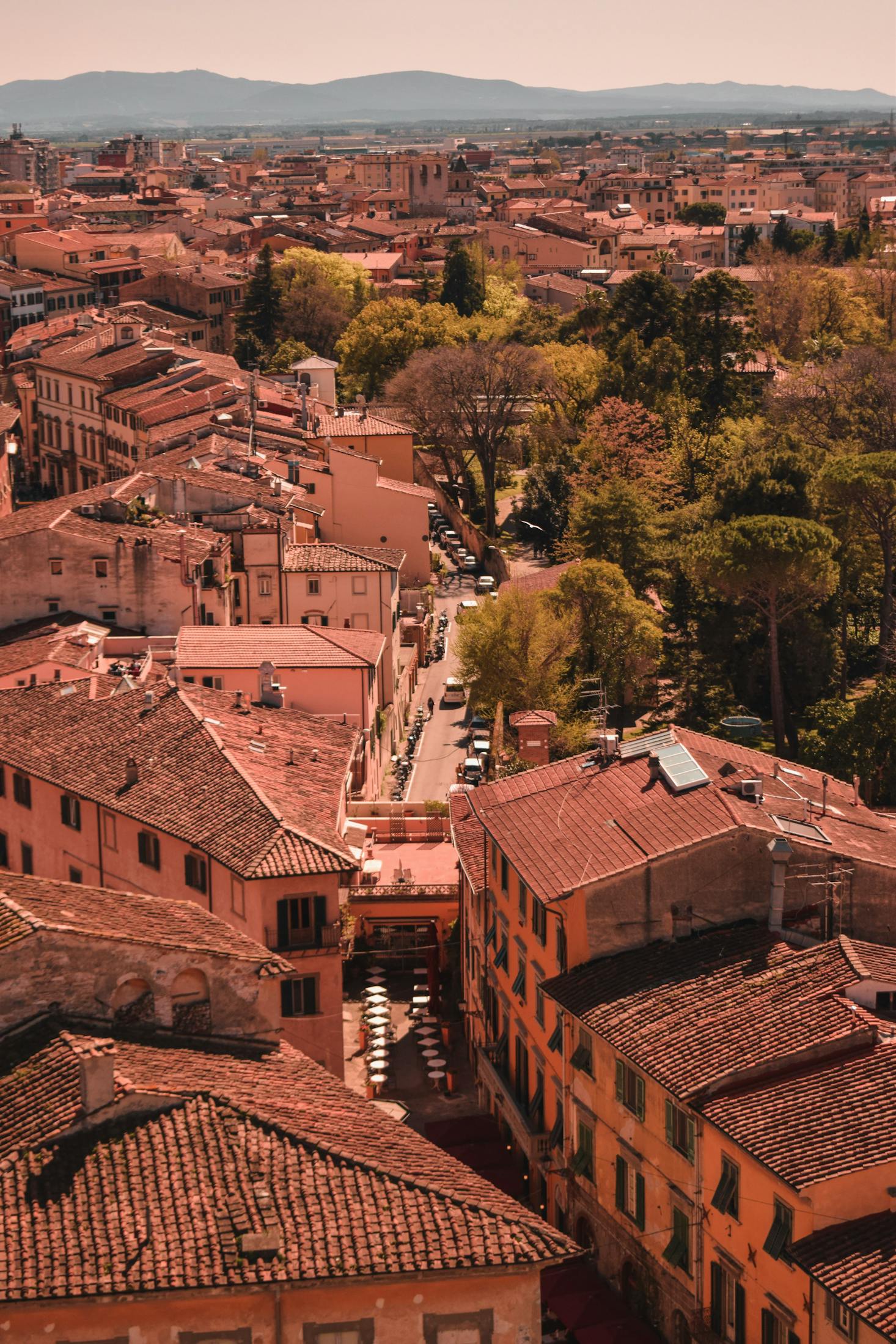 Rooftop bars in Pisa, Italy
