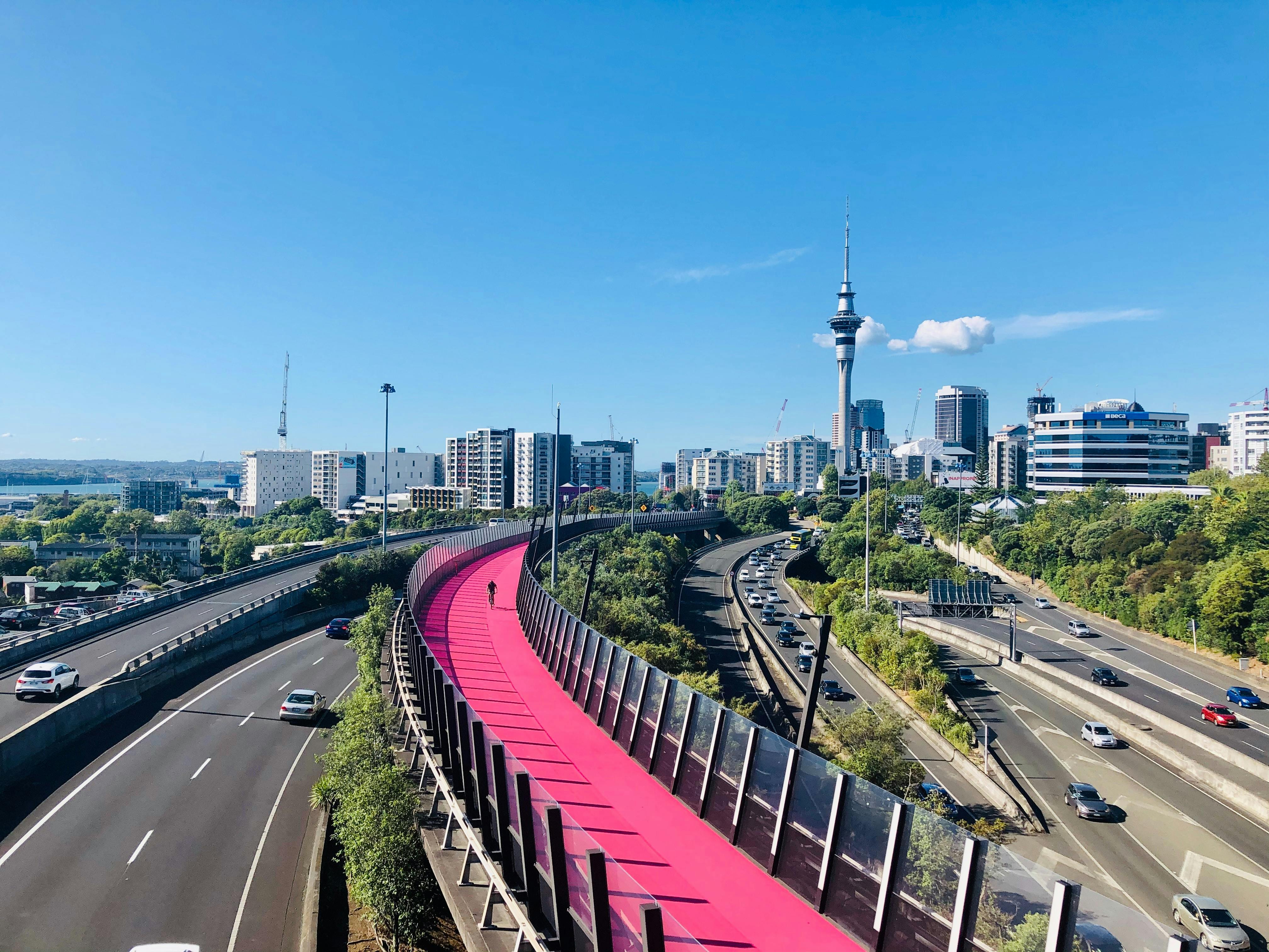 Visiting Auckland on a budget
