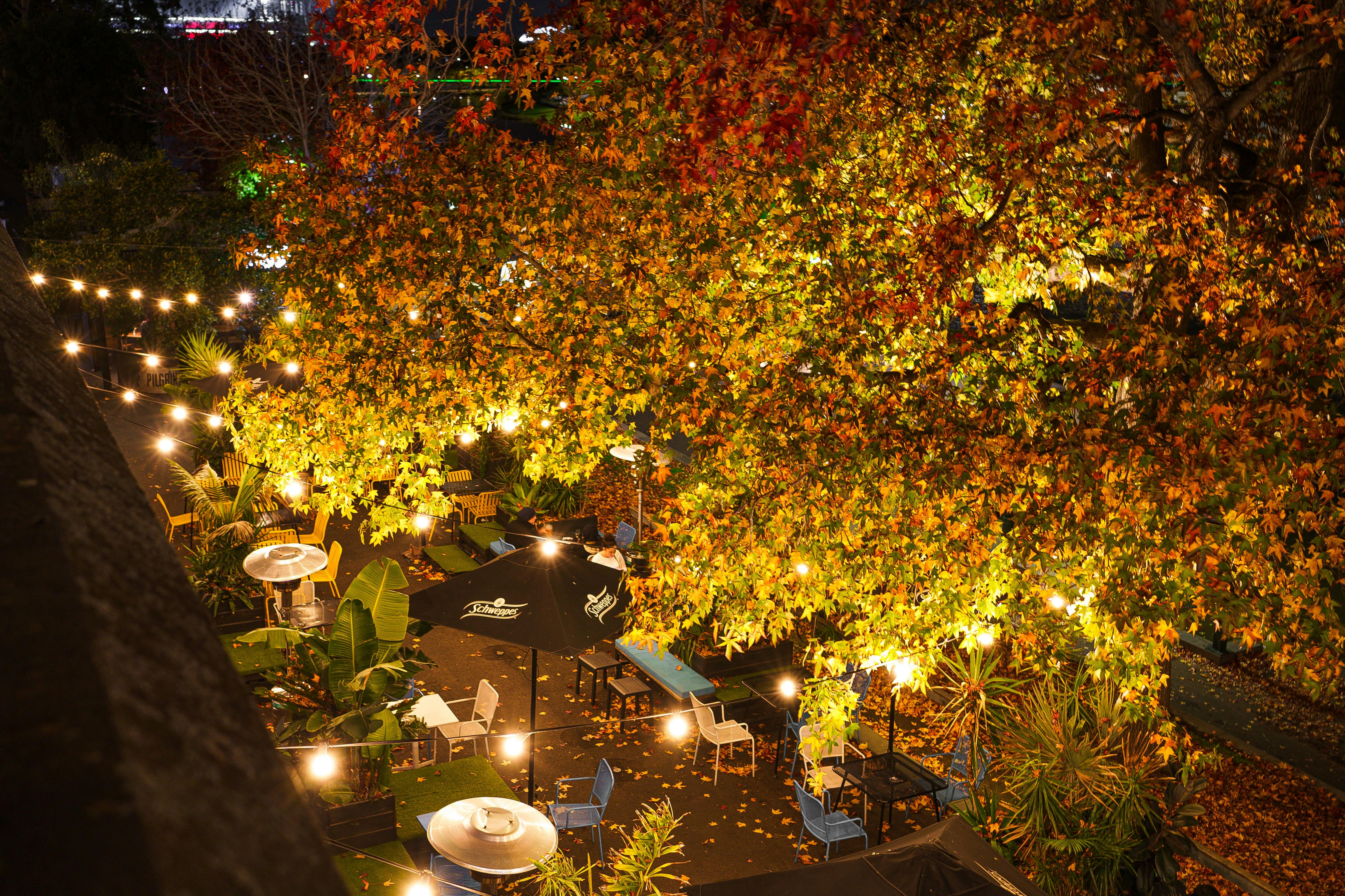 Best rooftop bars in Melbourne