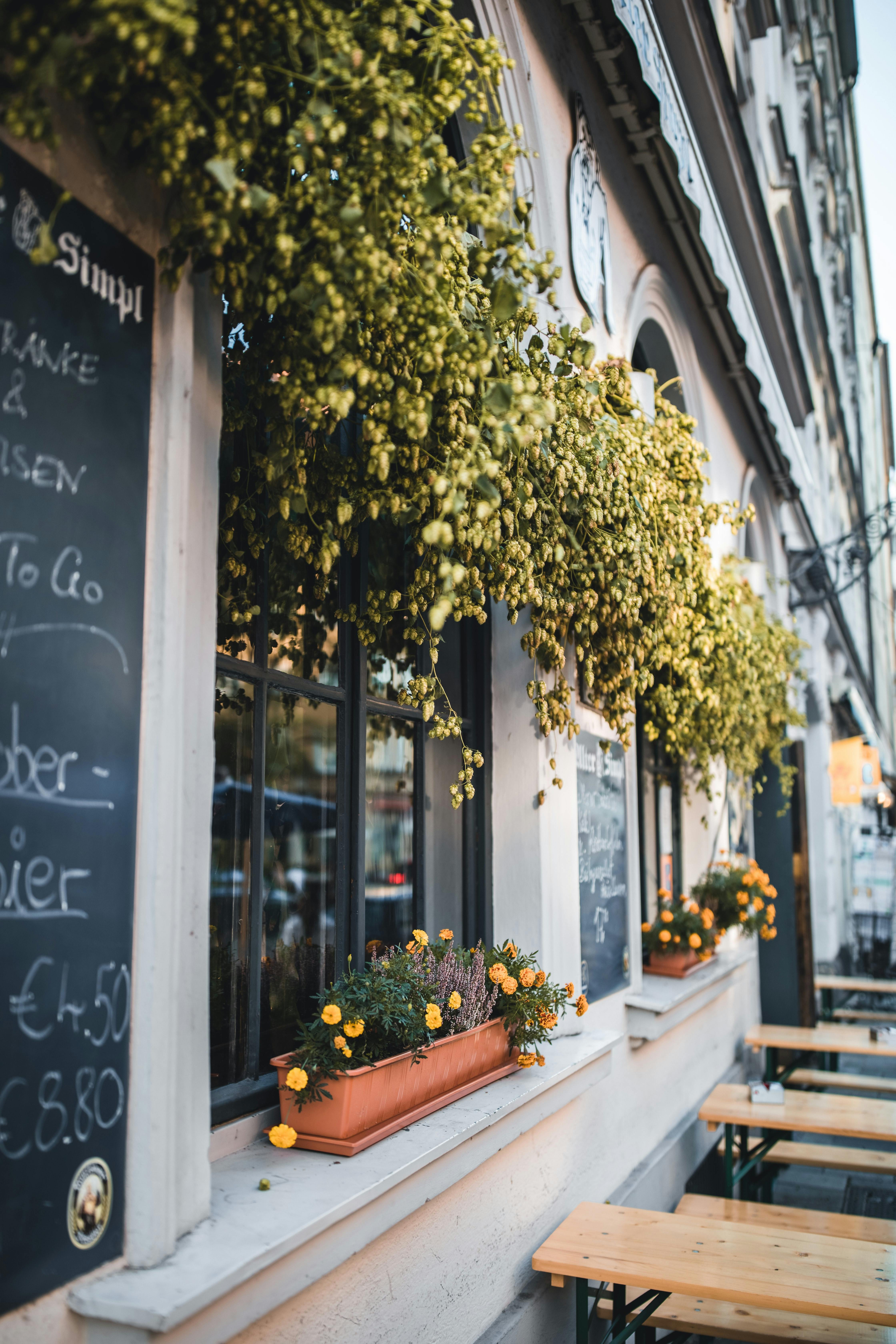 Munich rooftop bars