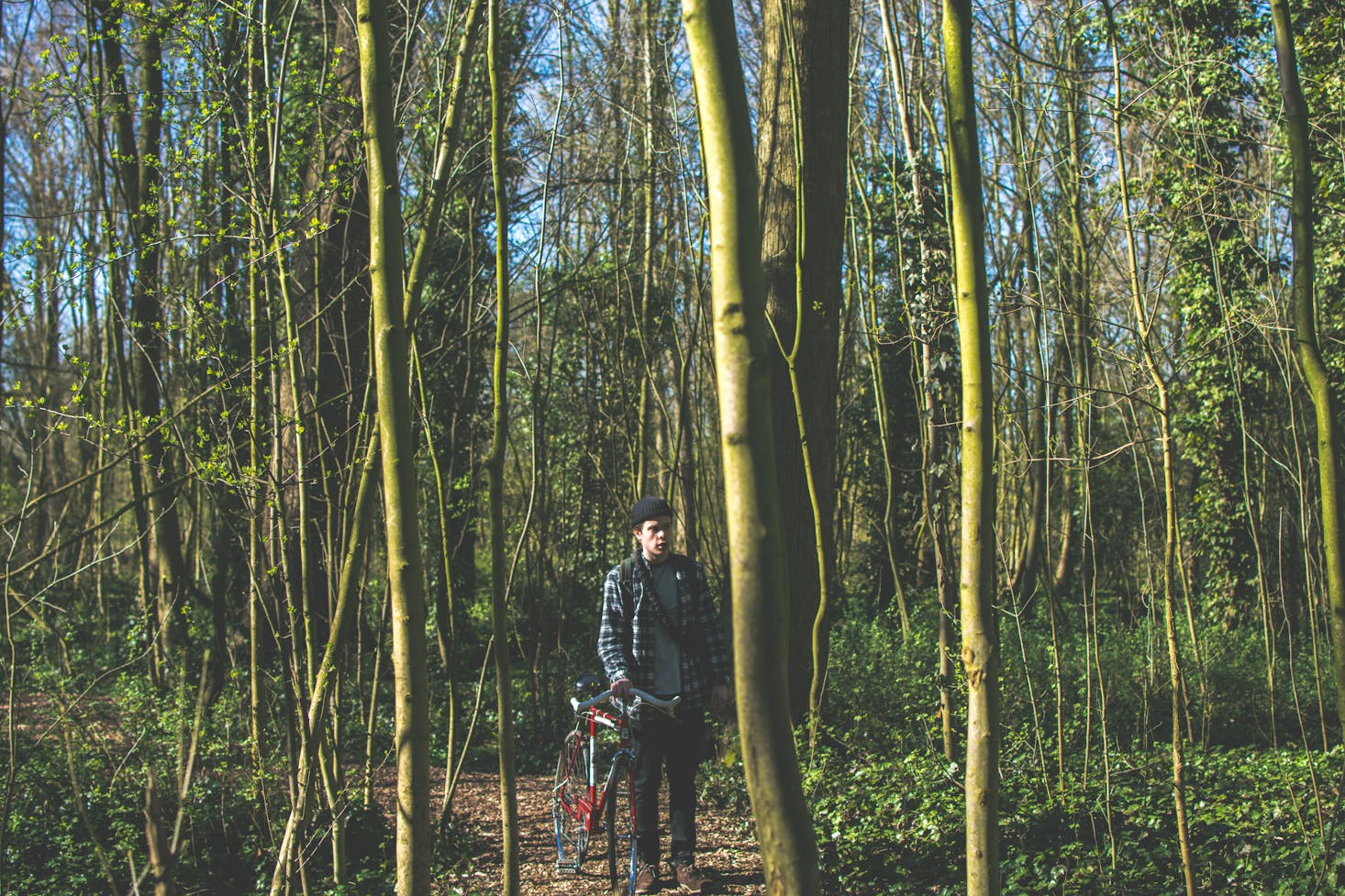 Hiking in Amsterdam