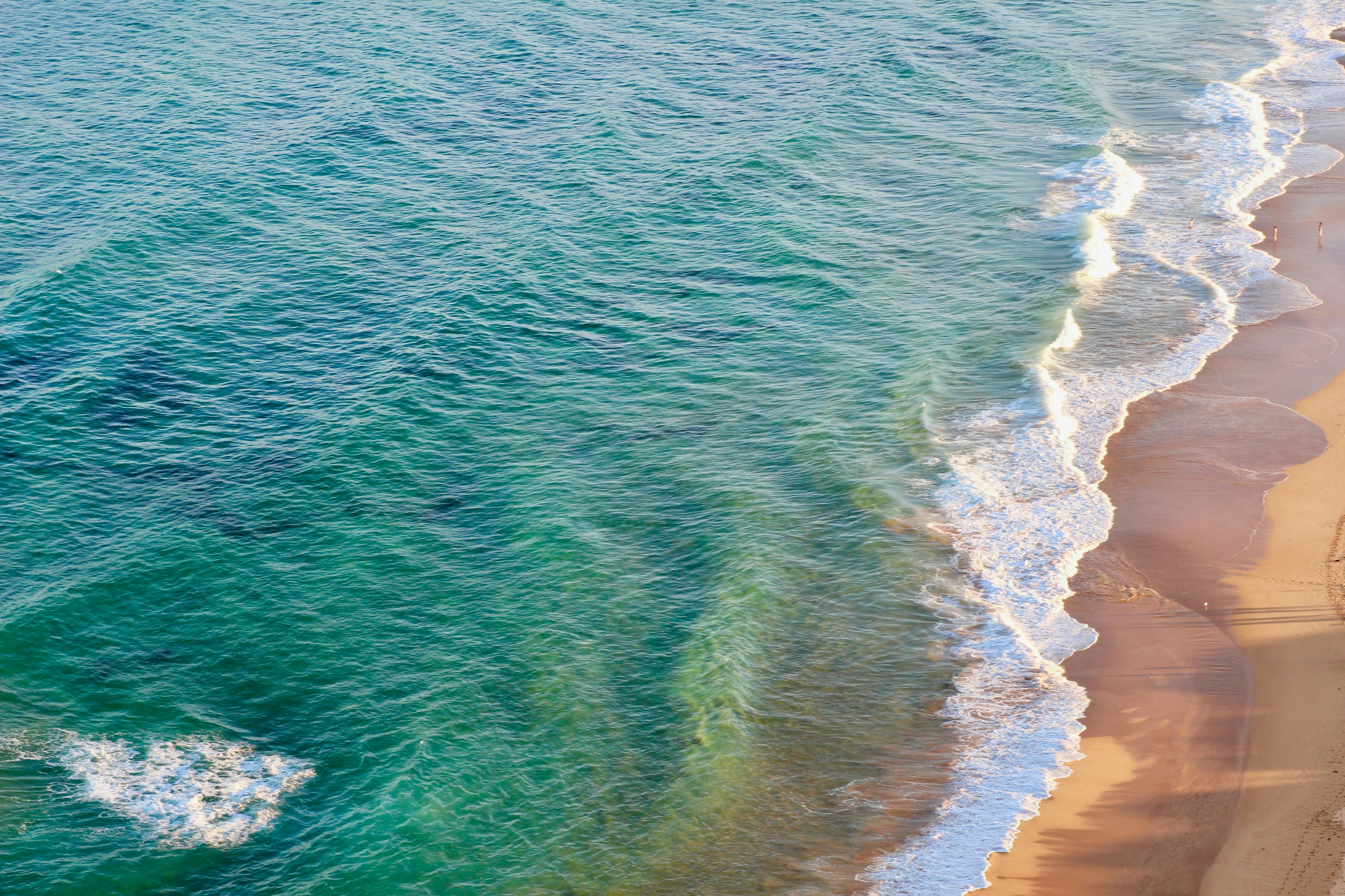 Palm Beach near Sydney