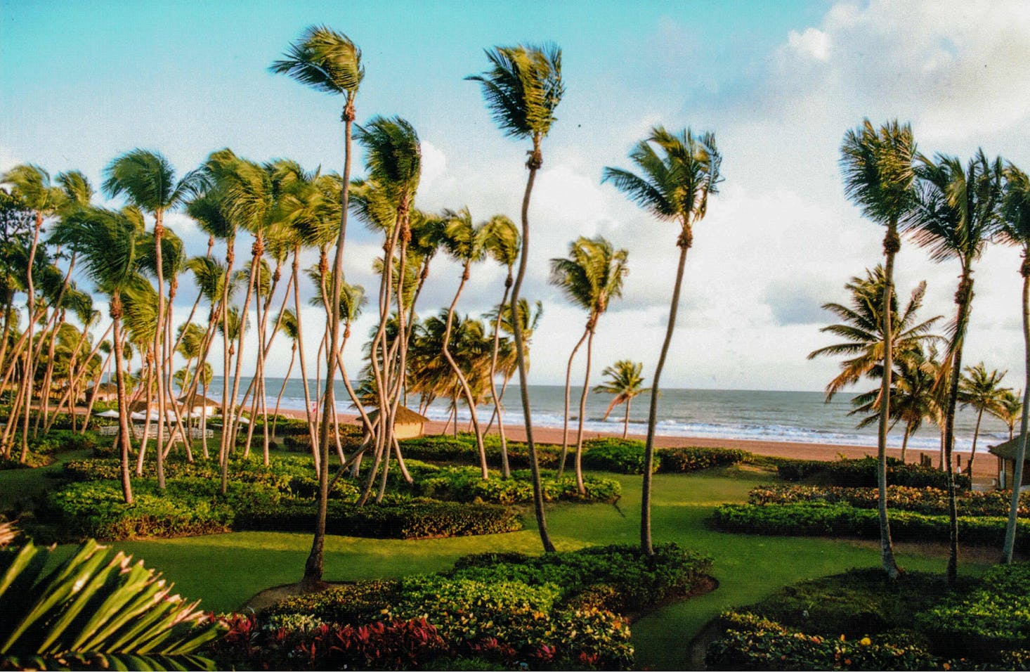 Ocean Park Beach near San Juan