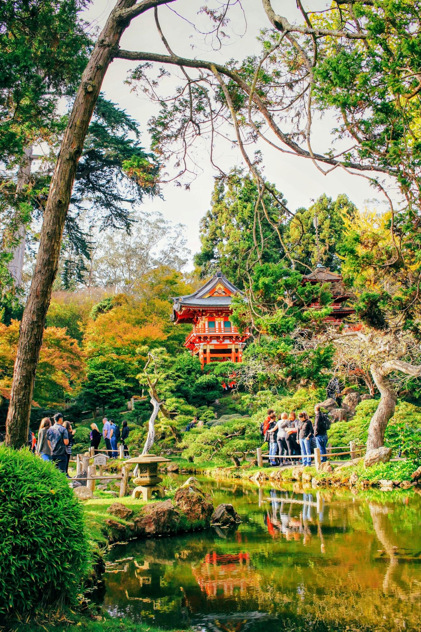 Japanese garden in San Francisco