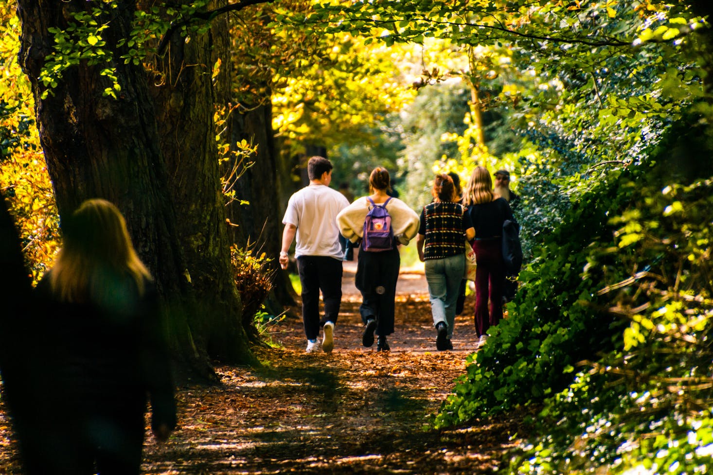 Family walking in Dublin, Ireland