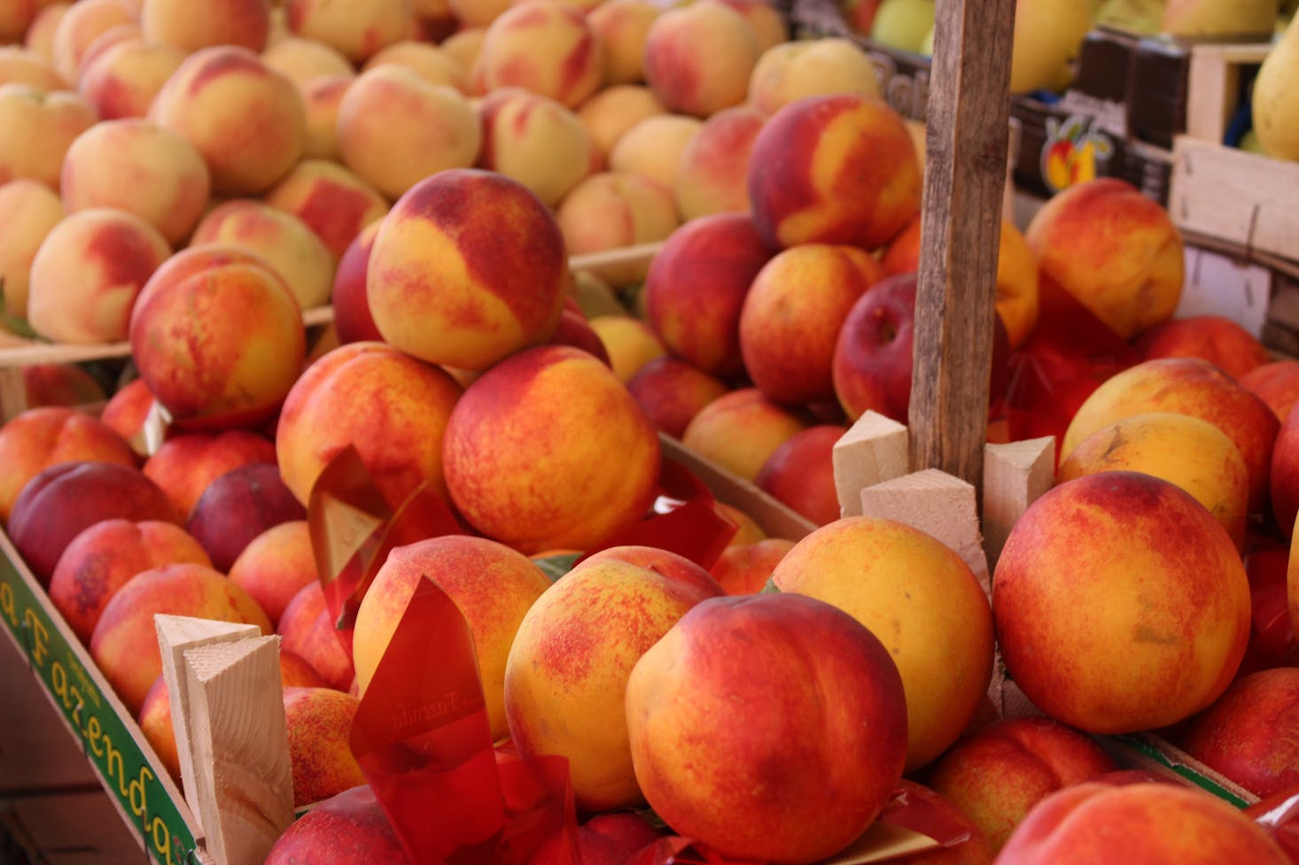 Fruit Market in Palermo