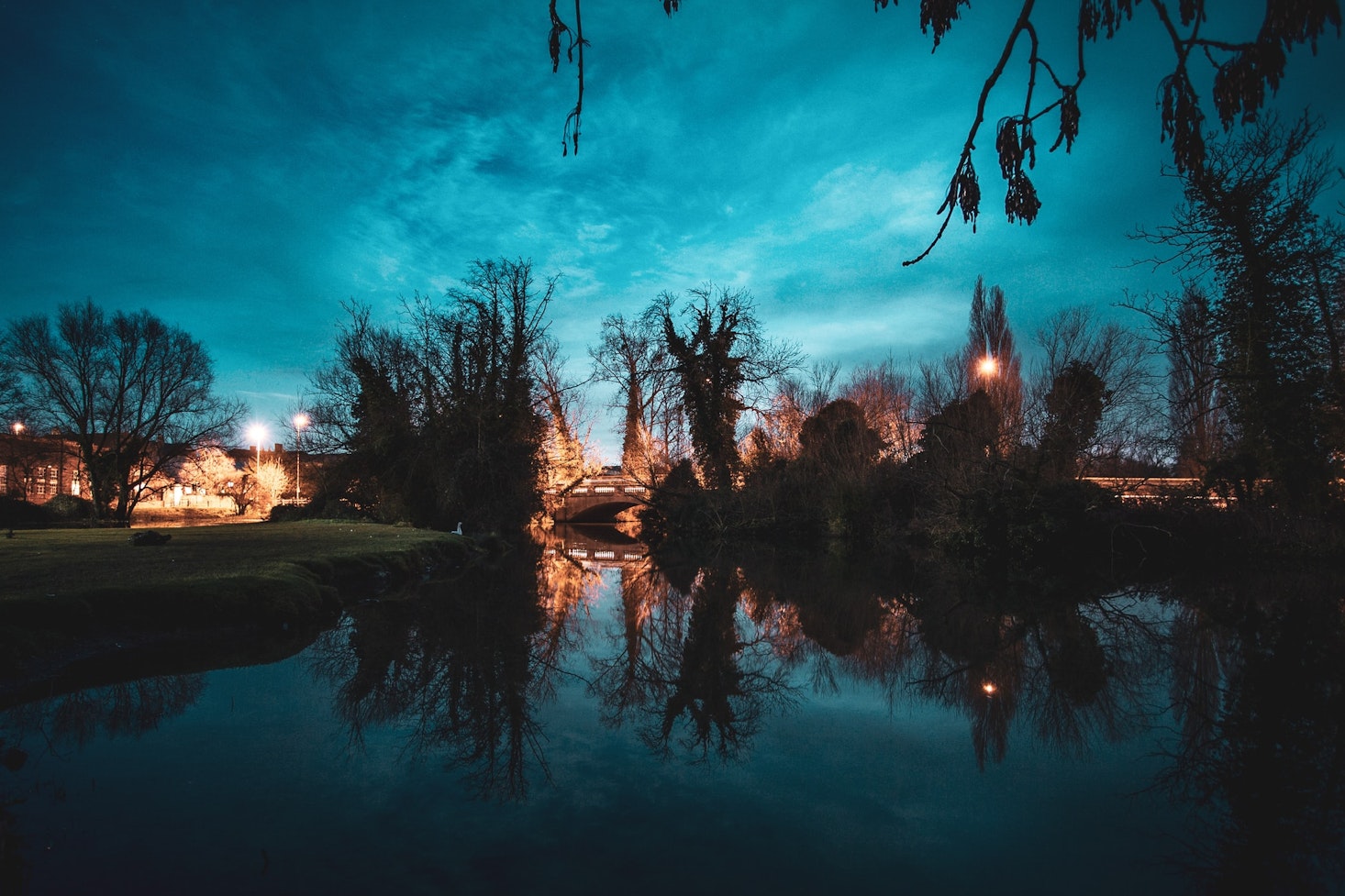 Cambridge canal at night with trees, a bridge and outlines of lit-up city in the background