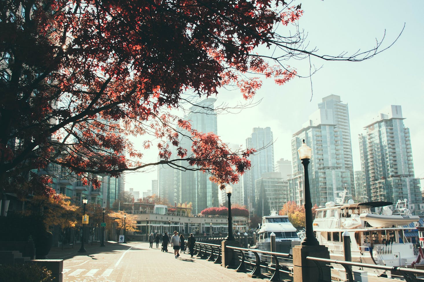 View of downtown Vancouver buildings from a walking path along False Creek