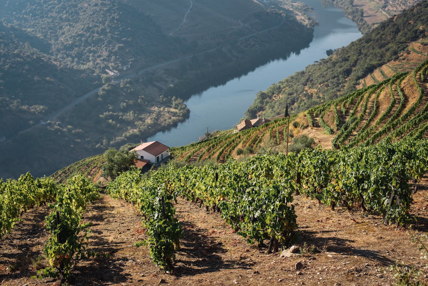 Day trips from Porto to the Douro Valley