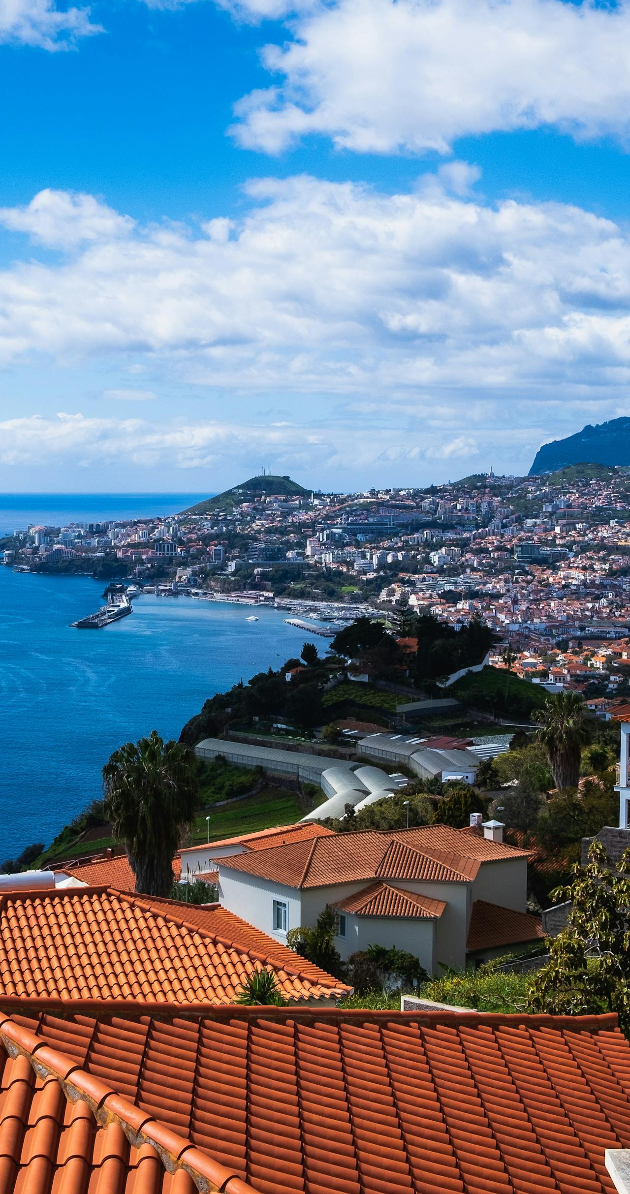 Coastal view of Funchal in the Madeira Archipelago