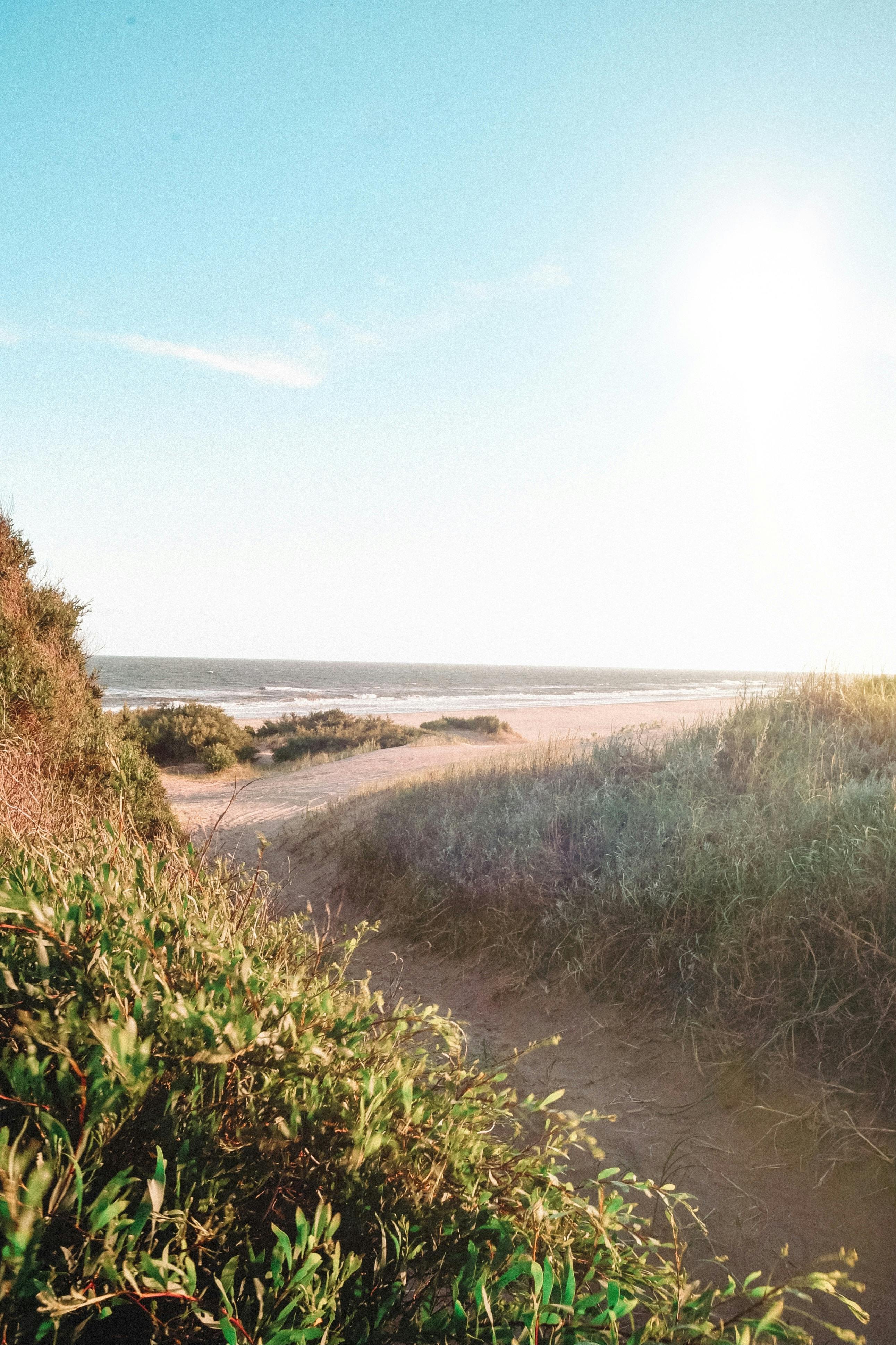 Cariló Beach near Buenos Aires