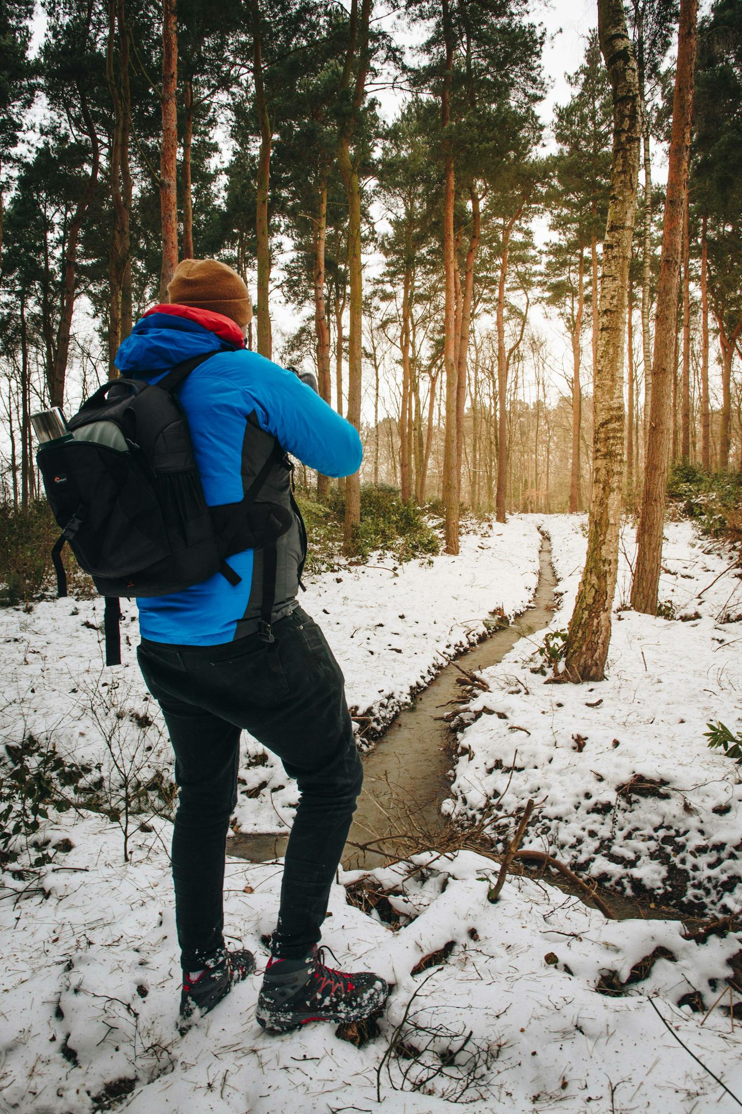 Snowy Woods in York