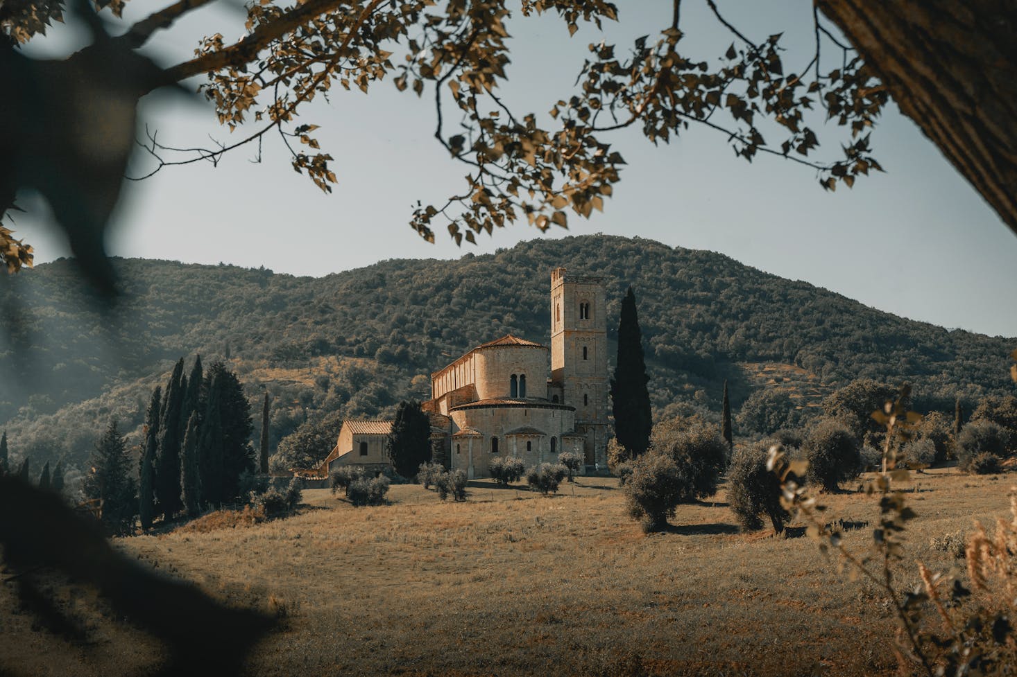 Montalcino weekend trips from Florence