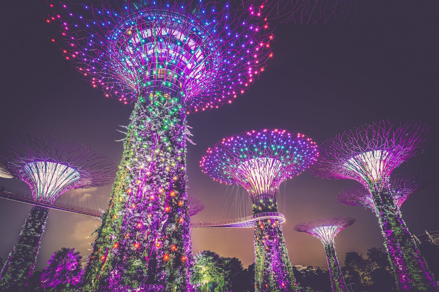 lighted towers at Gardens by the Bay in Singapore