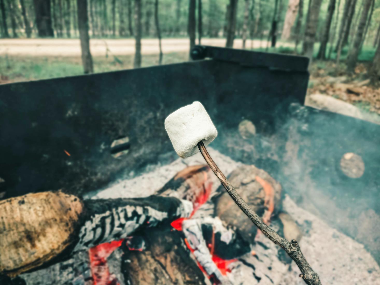 Camping food in Perth