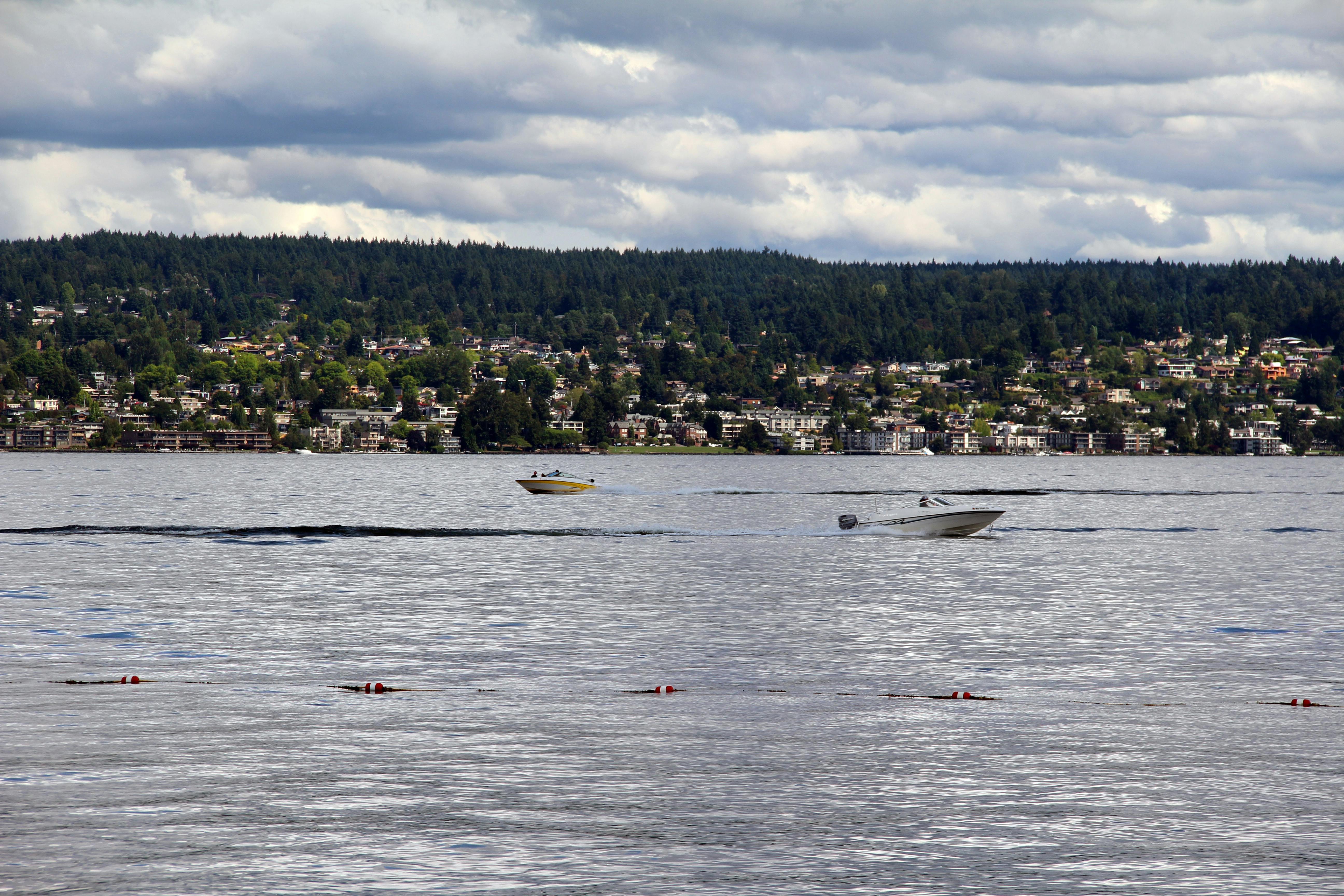 Lake Washington beaches in Seattle