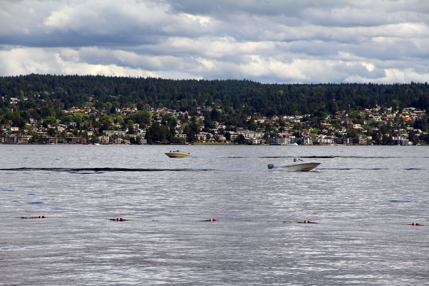 Lake Washington beaches in Seattle