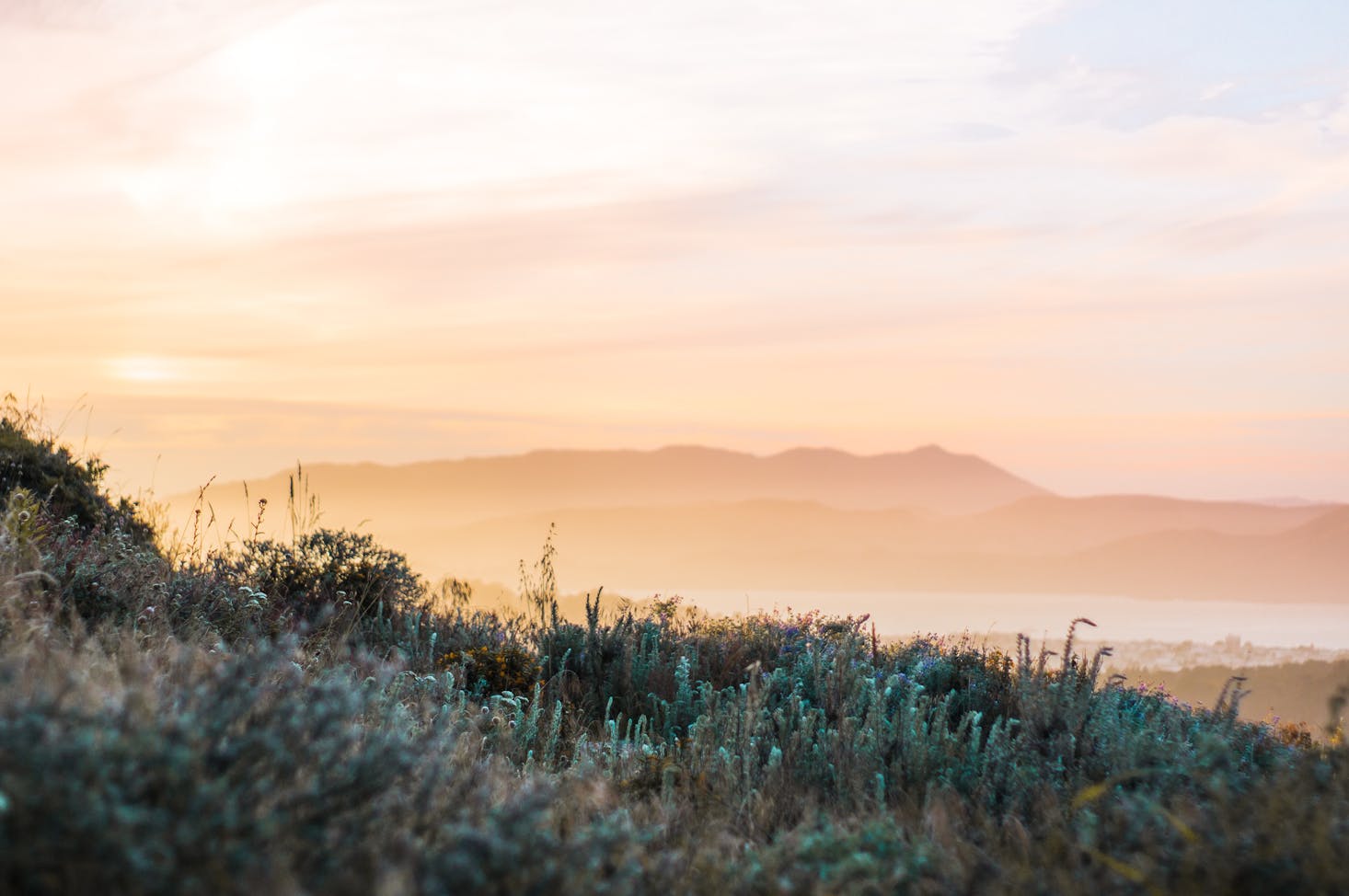 California hiking