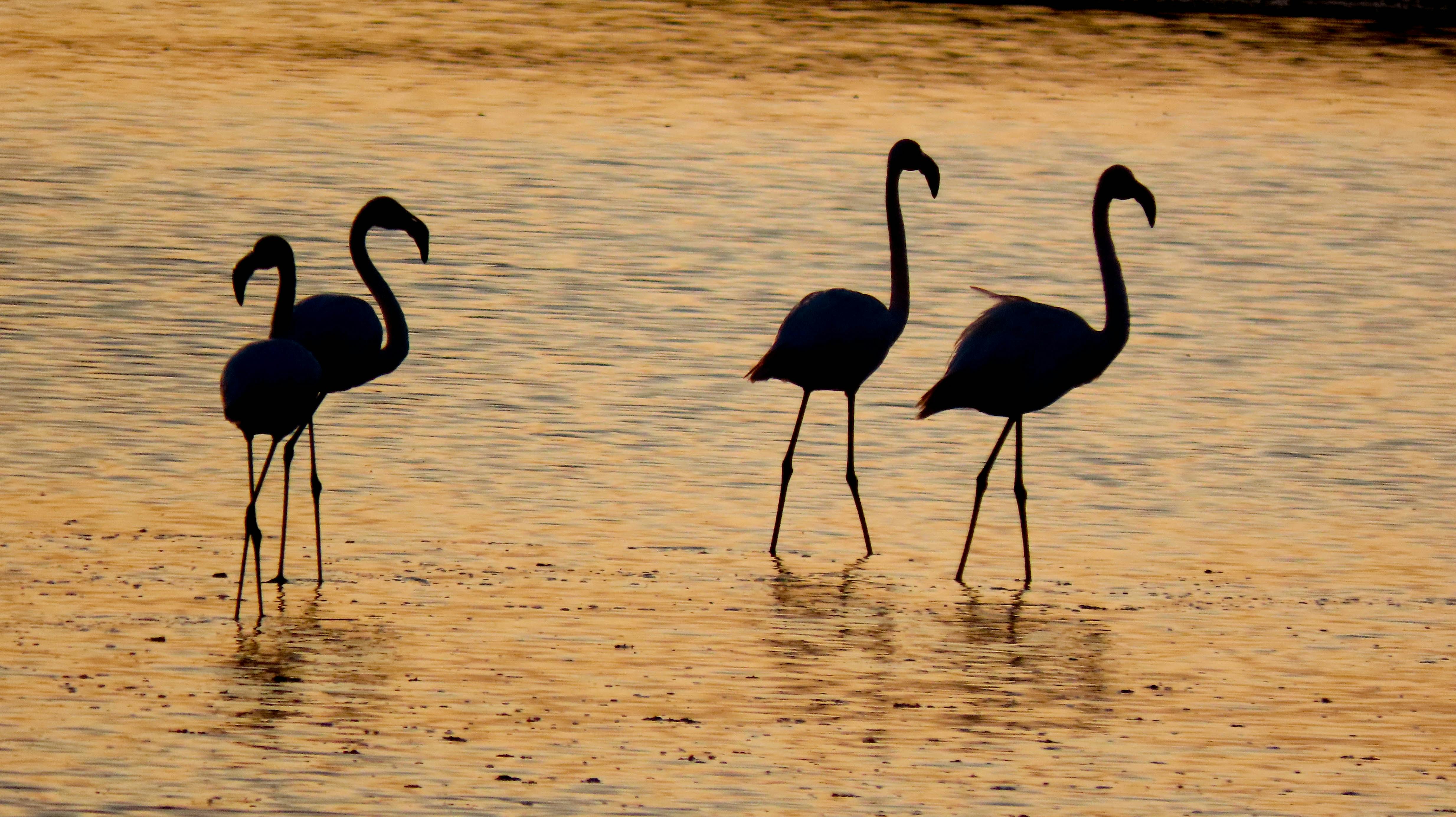 Cervia beaches near Bologna