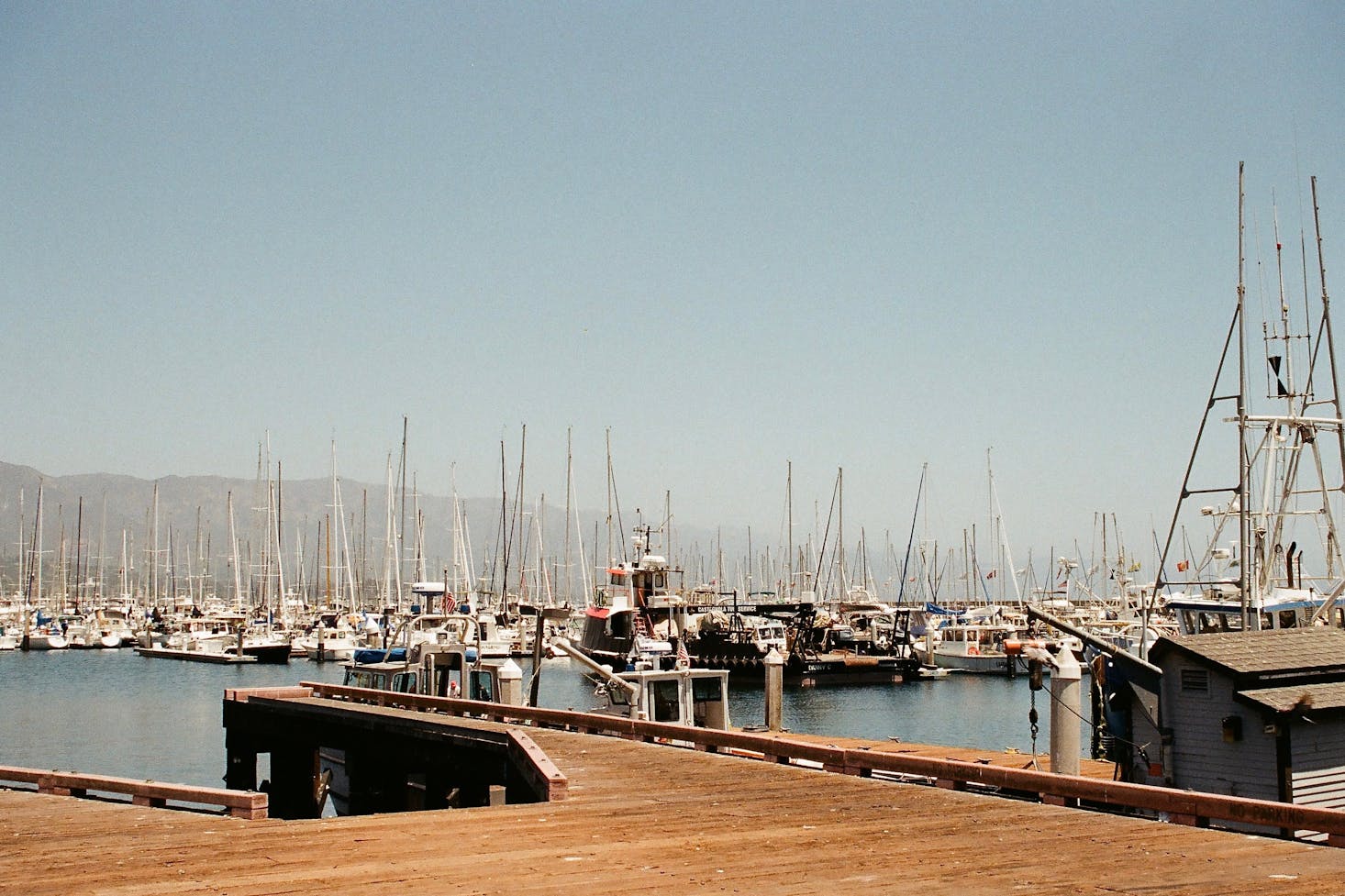 sailboats in a harbor