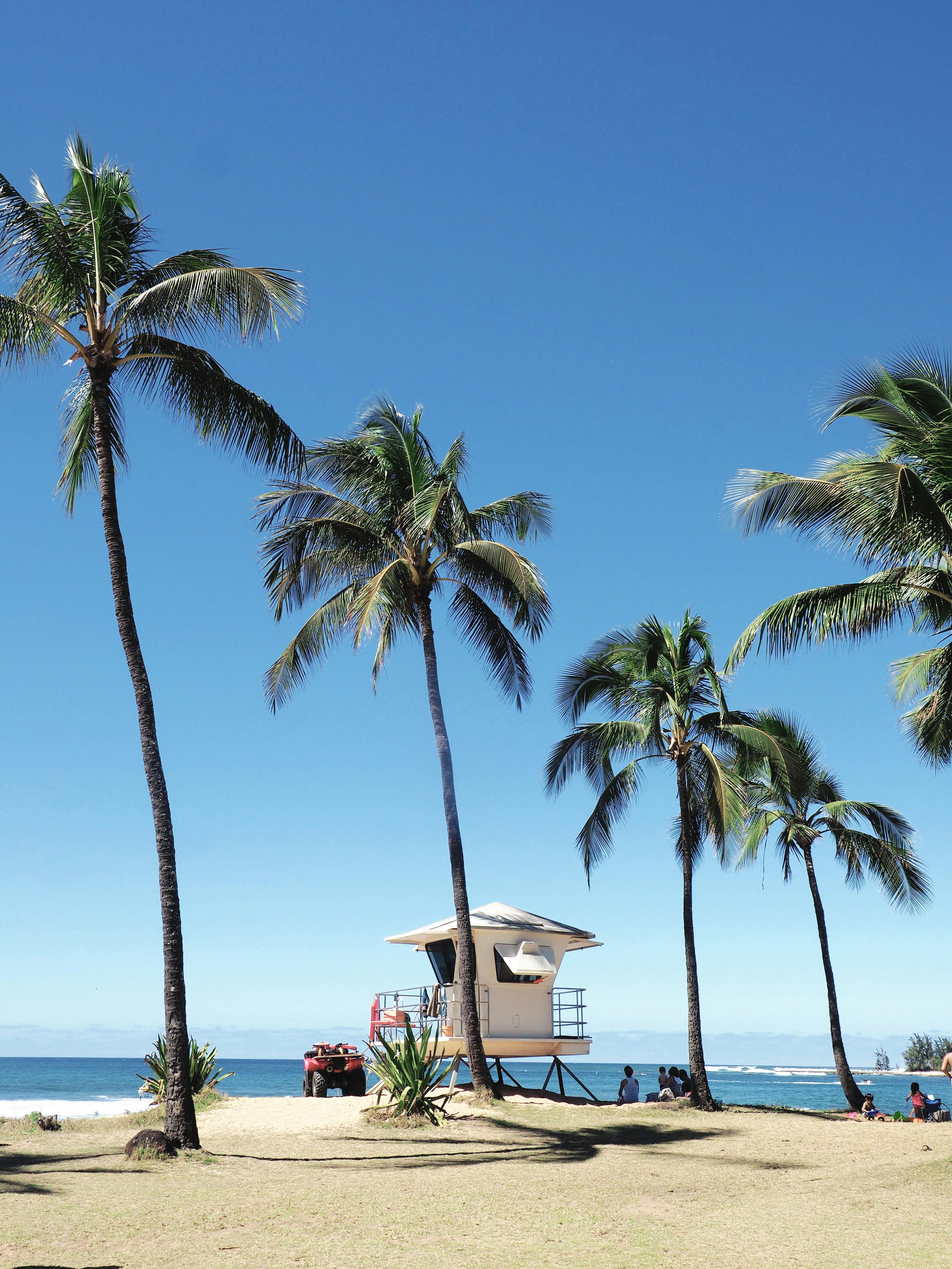 Visiting Honolulu on a budget
