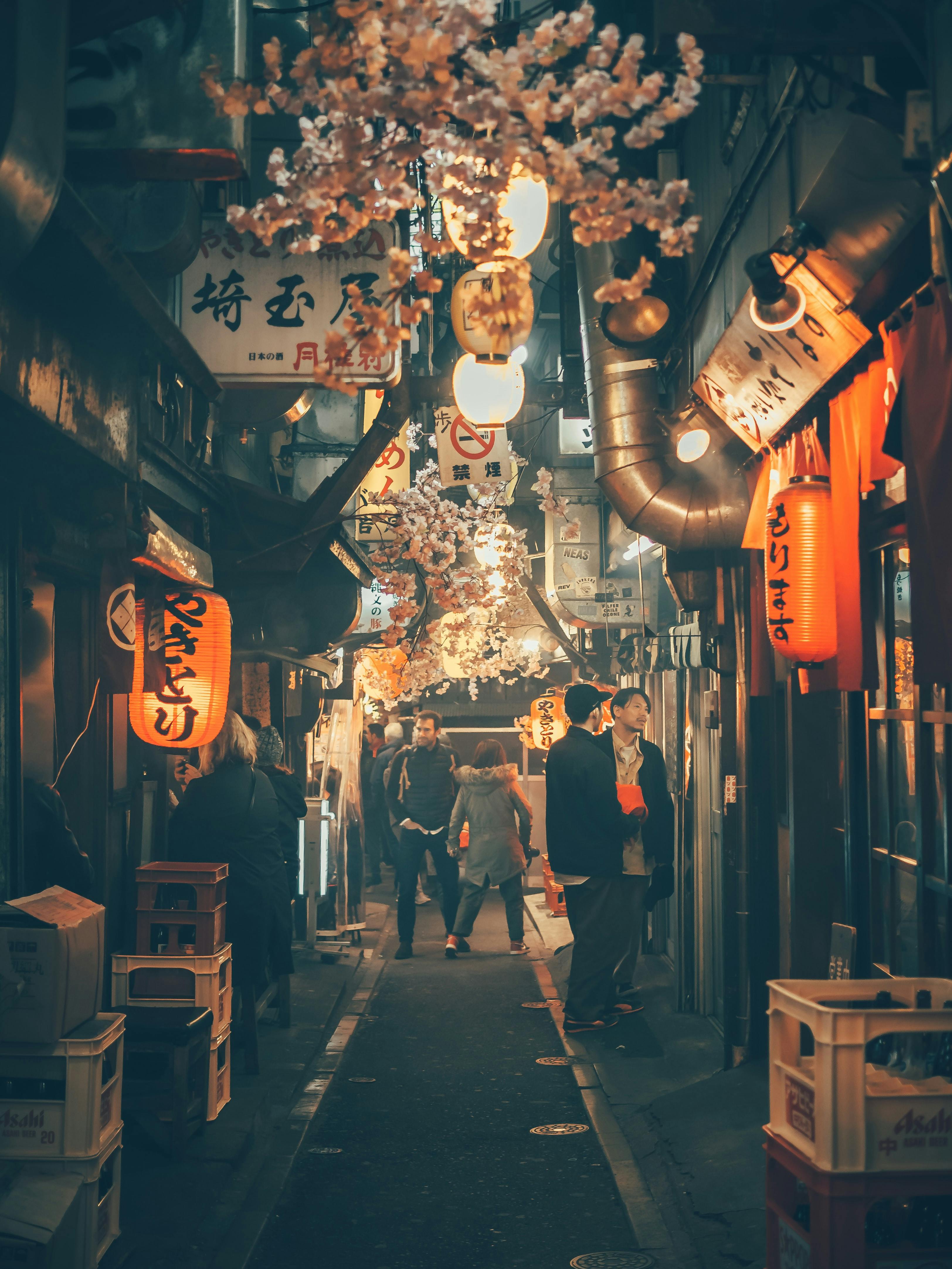 Tokyo alley at night