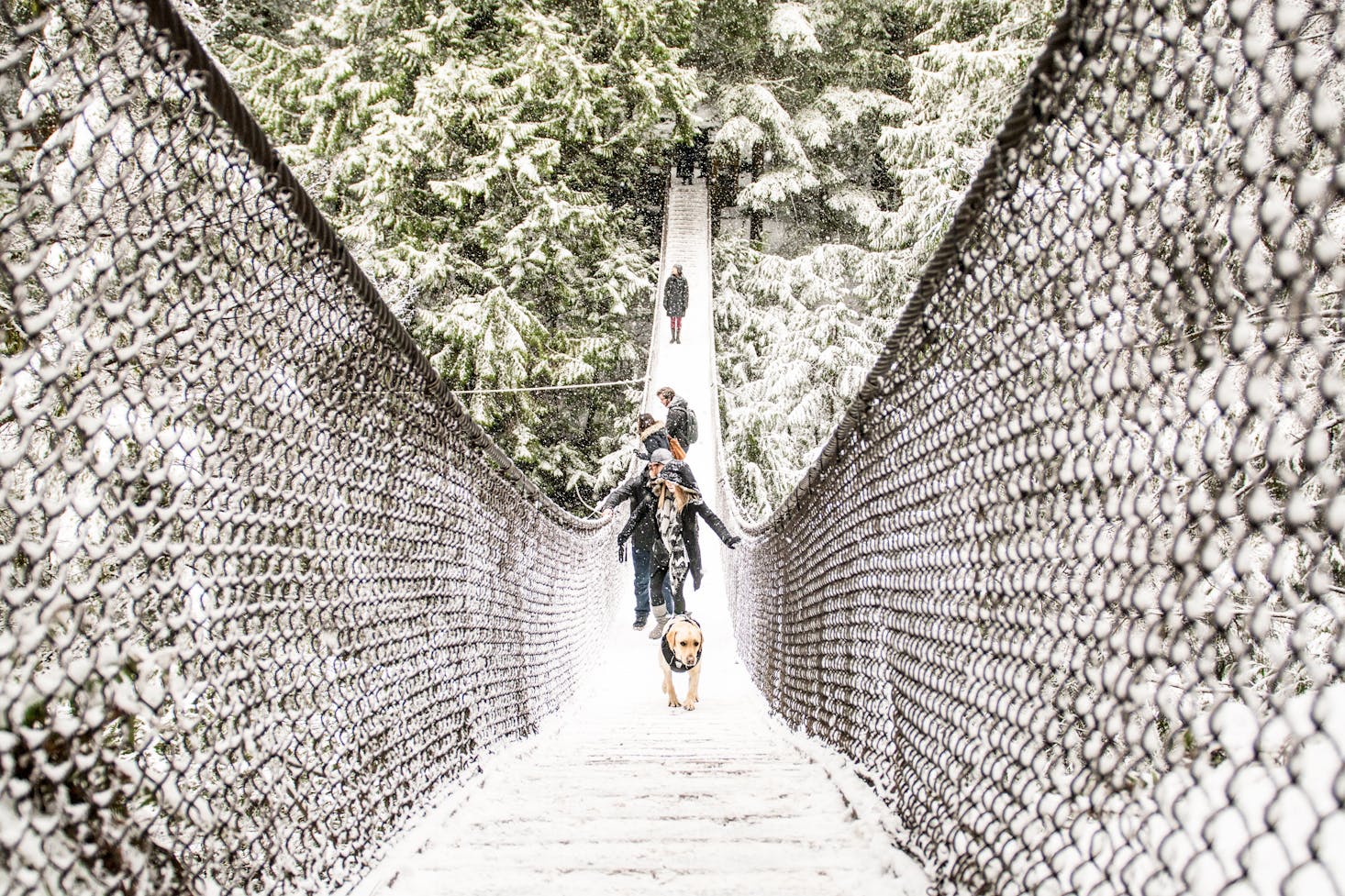 Capilano Suspension Bridge Vancouver