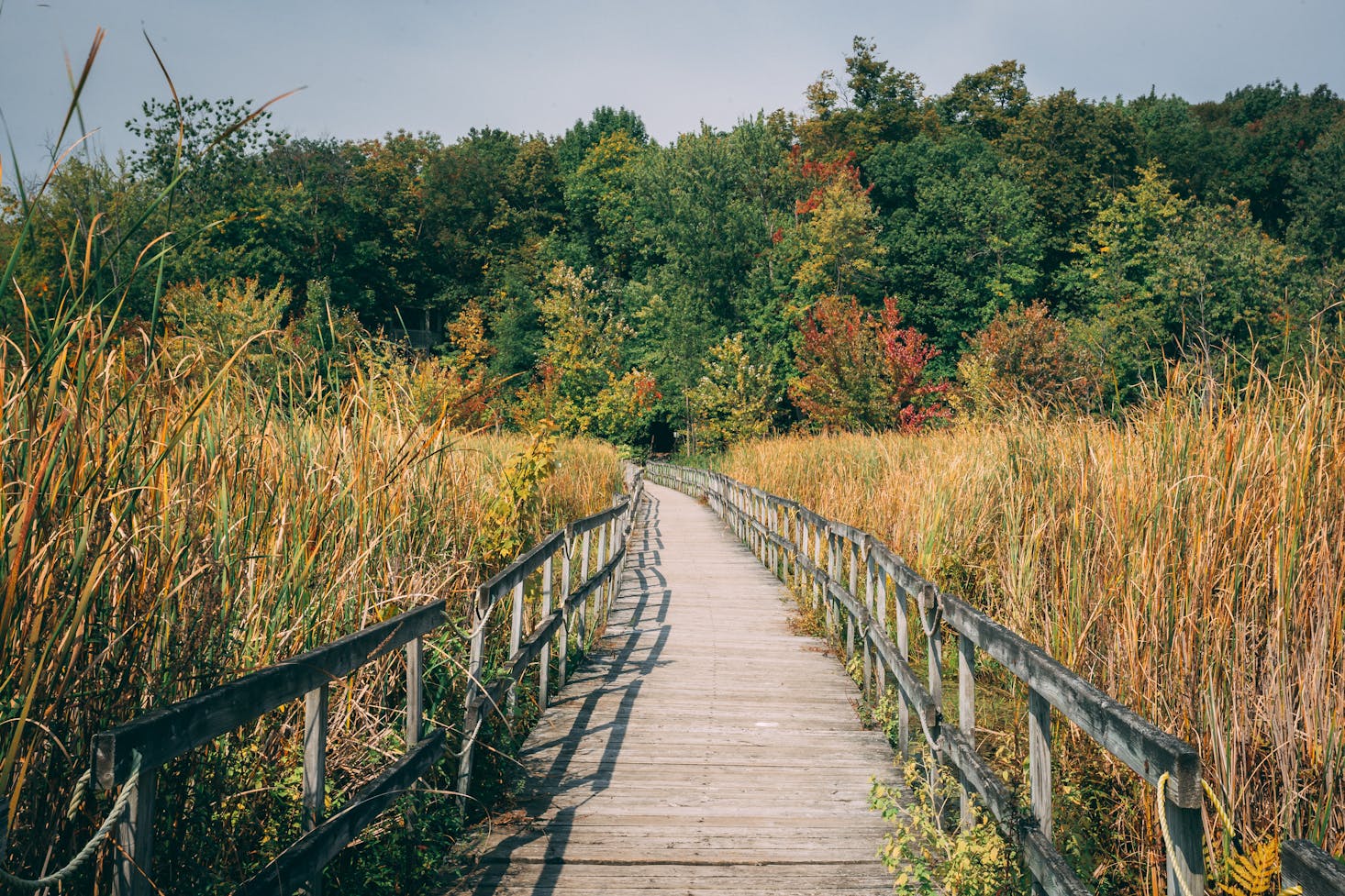 Oka National Park weekend trips