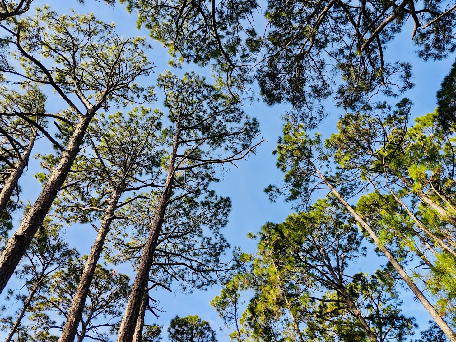 Jekyll Island, Georgia