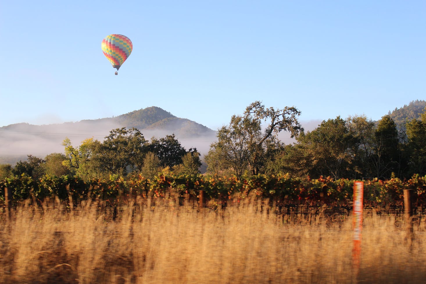 Napa Valley day trips from San Francisco