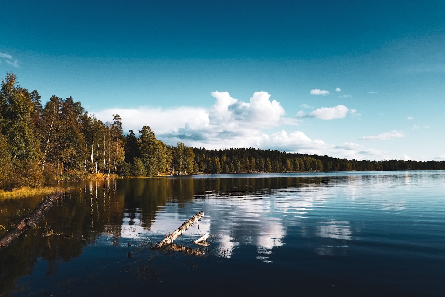 Beaches near Oslo