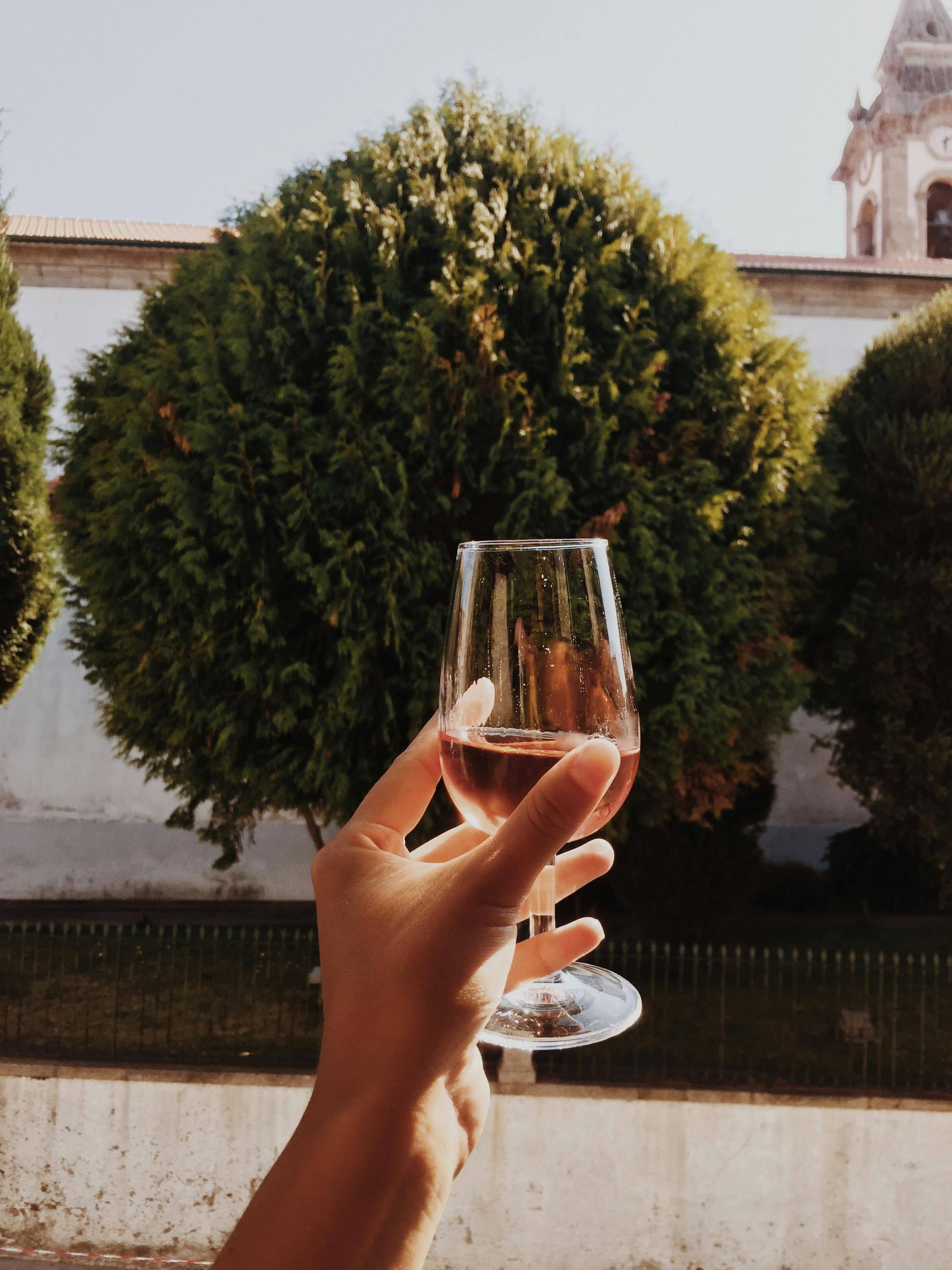 Best Porto wine tasting places